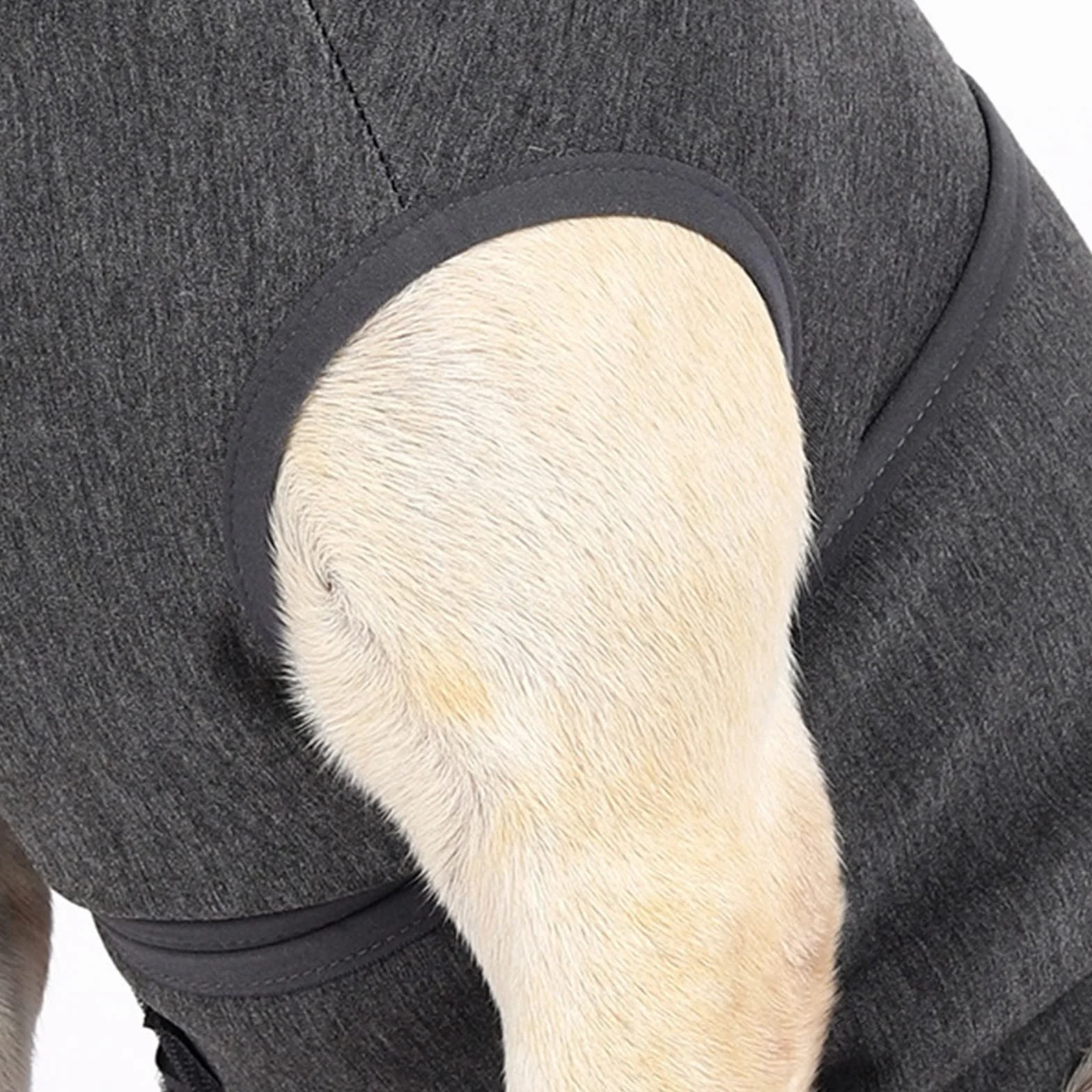 Cane Ansia Gilet Traspirante Morbido Cappotto Calmante Per Cani Piccole Medie Grandi