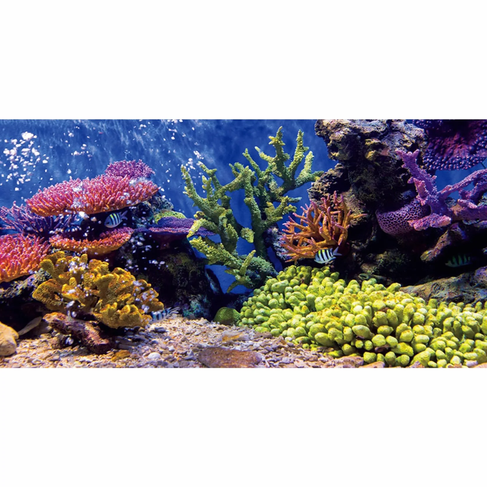 61x41cm Durevole Vinile Acquario Decorazione Sfondo Corallo Pesce Tropicale Subacqueo Acquario Poster Sfondo