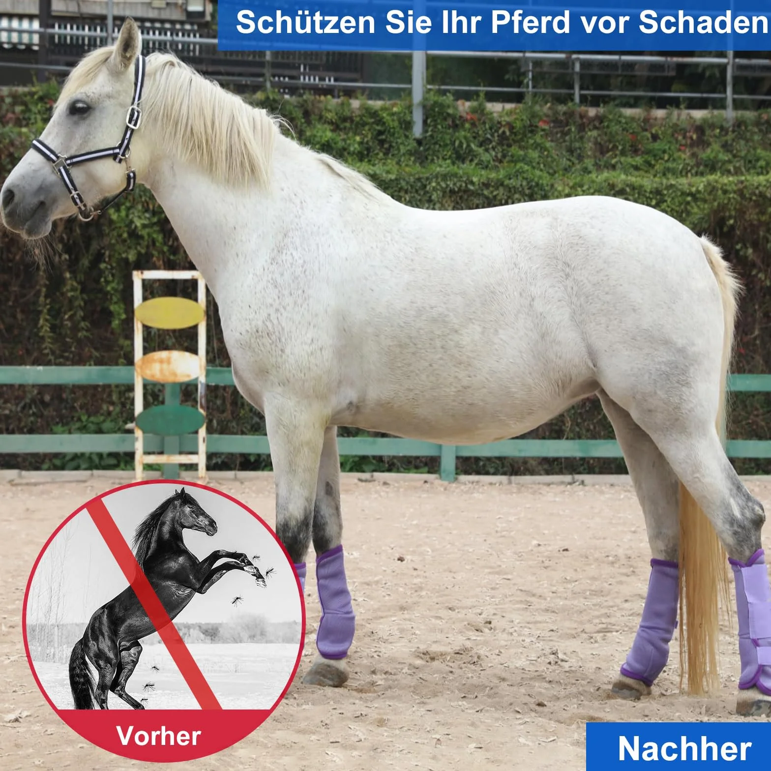 Stinchiere Cavallo Equitazione, Ghette Antimosche Traspiranti per Cavalli a Maglia fine, con Funzioni Protettive e di Sostegno, Protezione dai UV