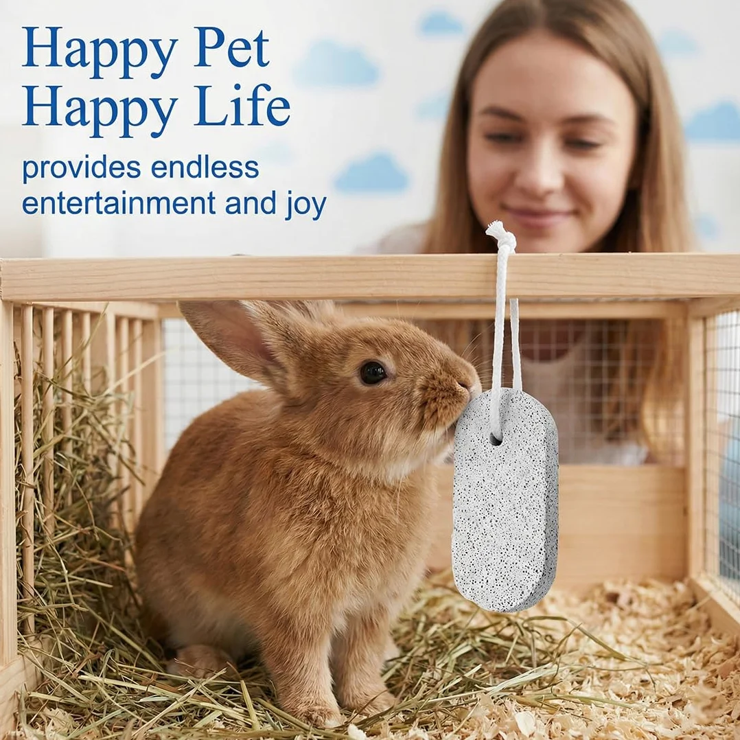 6 Pezzi Pietra per la Masticazione Degli Animali Domestici Masticabili per Animali Domestici Pietra Minerale al Calcio per Criceti Conigli e Cincillà Sicure e Naturali per Dentale