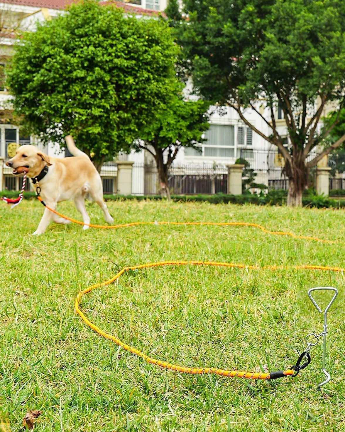Joytale Guinzaglio Addestramento per Cani, Lunghina 5/10/15/20 Metri con Gancio Robusto e Manico Imbottito, per Taglia Piccola e Grande (Arancione, 15m)