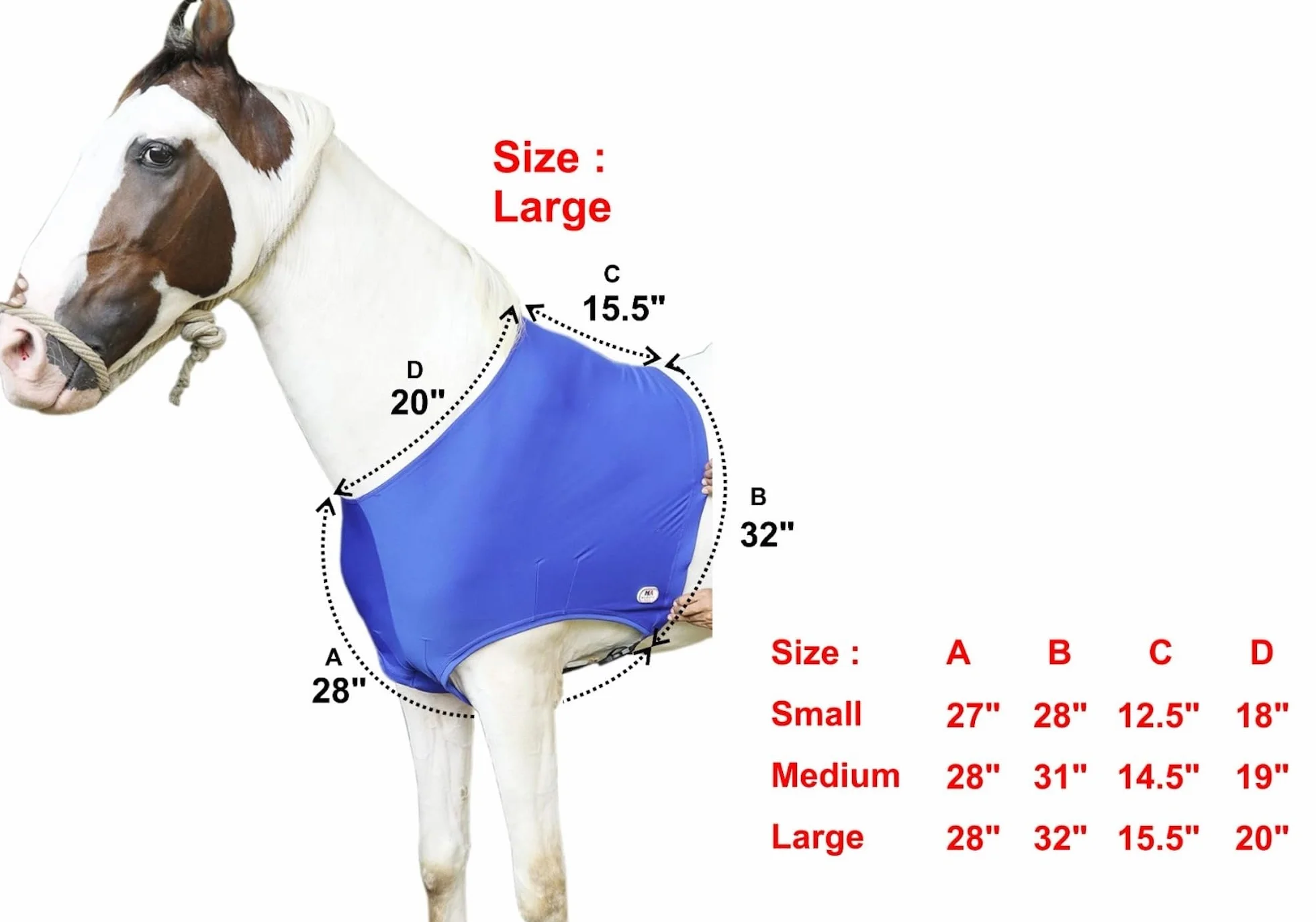 Majestic Ally, Protection Anti-éclats élastiquée en Lycra pour Cavallo, Taglia L, Noir