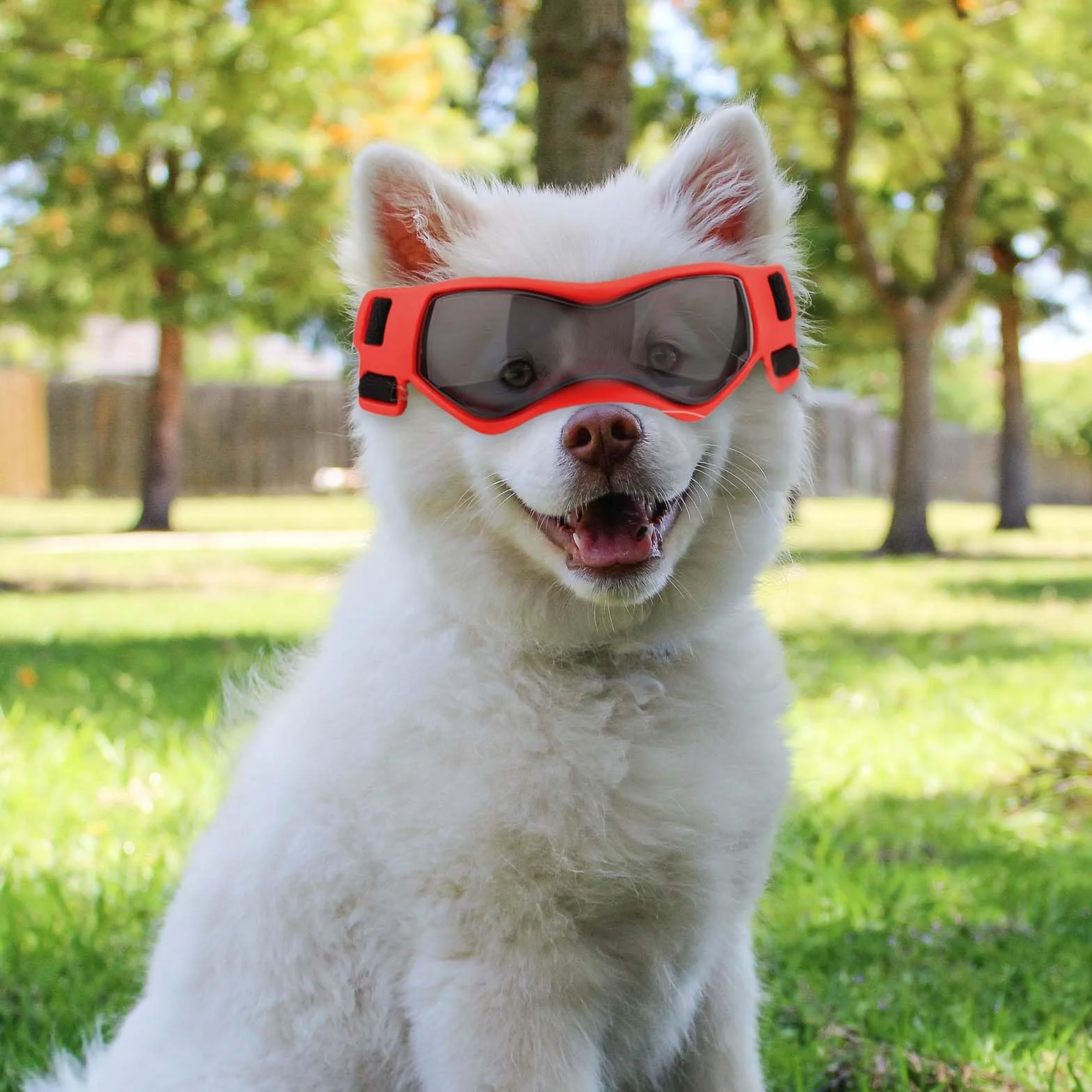Occhiali da Sole per Cani Antivento e Antiappannamento, Regolabili per Animali Domestici di Taglia Piccola e Media - Protezione per Gli Occhi All'Aperto (Rosso)