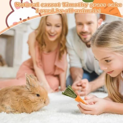 Crocchette da masticare per conigli - Biscotti all'erba alfalfa e carota per piccoli animali domestici - Snack di fieno di fleolo per conigli, porcellini d'India e criceti - Giocattoli da mas
