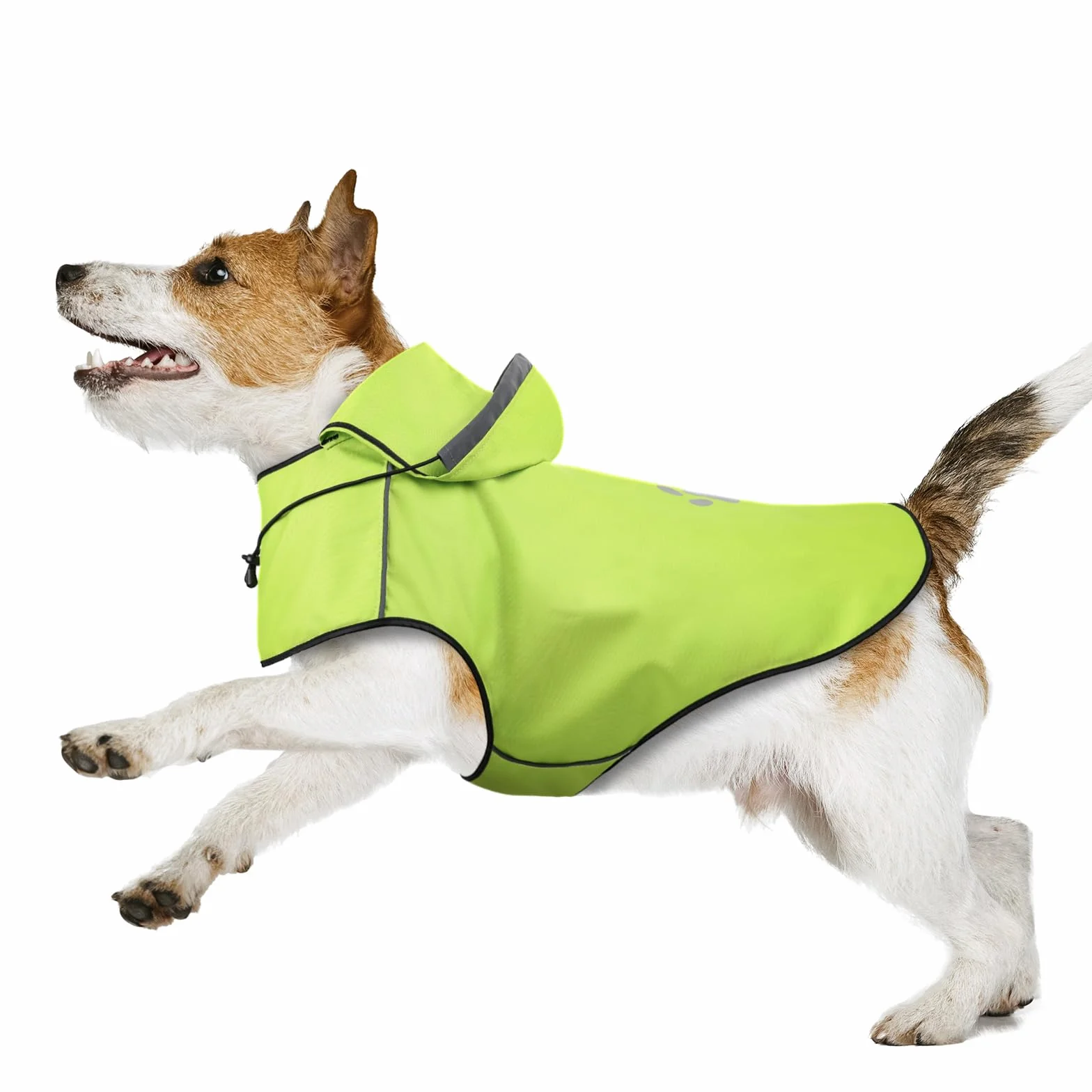 Cappottino Impermeabile Cane Taglia Piccola DQGHQME Impermeabile per Cani, Antipioggia cane con Cappuccio e Foro per Colletto e Strisce Riflettenti protettive, Regolabile Mantella Cane Pioggia- S
