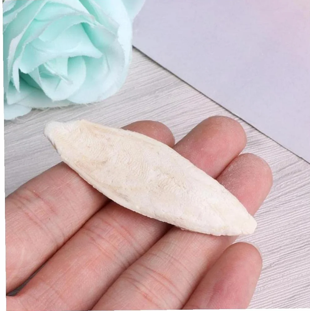 Cuttlebone Toy for Parrot Bird Desalting Cuttlefish Sepia Bone Chew Molar