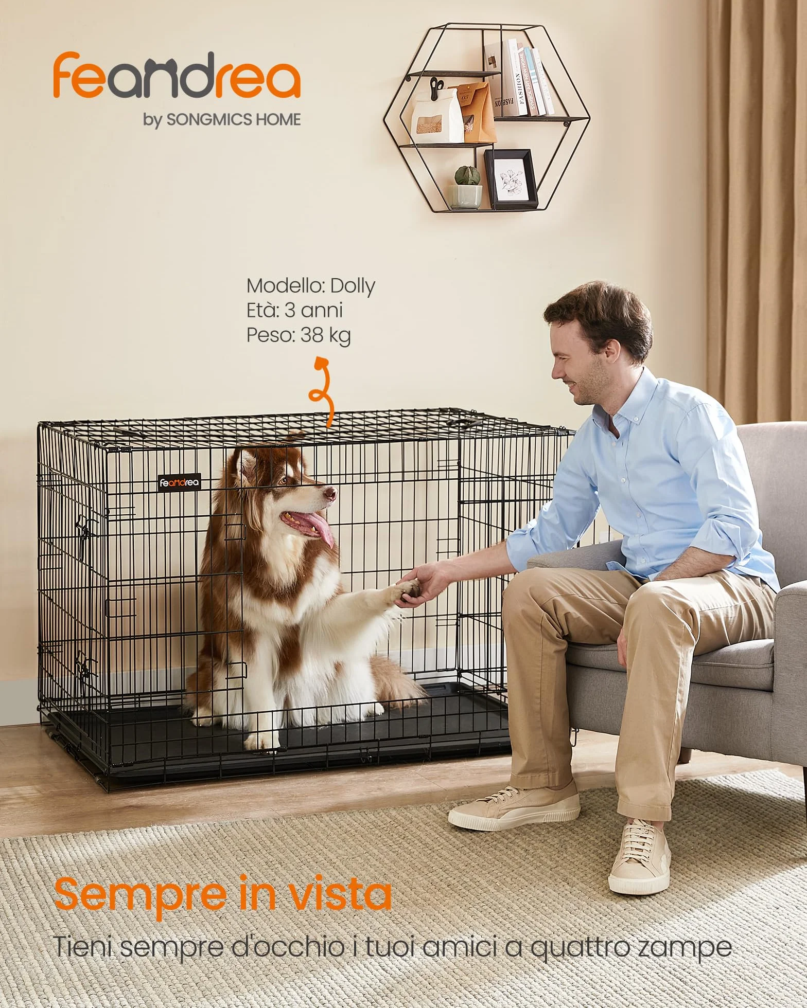 Feandrea Gabbia per Cani Pieghevole XXL 122x74,5x80,5 cm Nero PPD48H