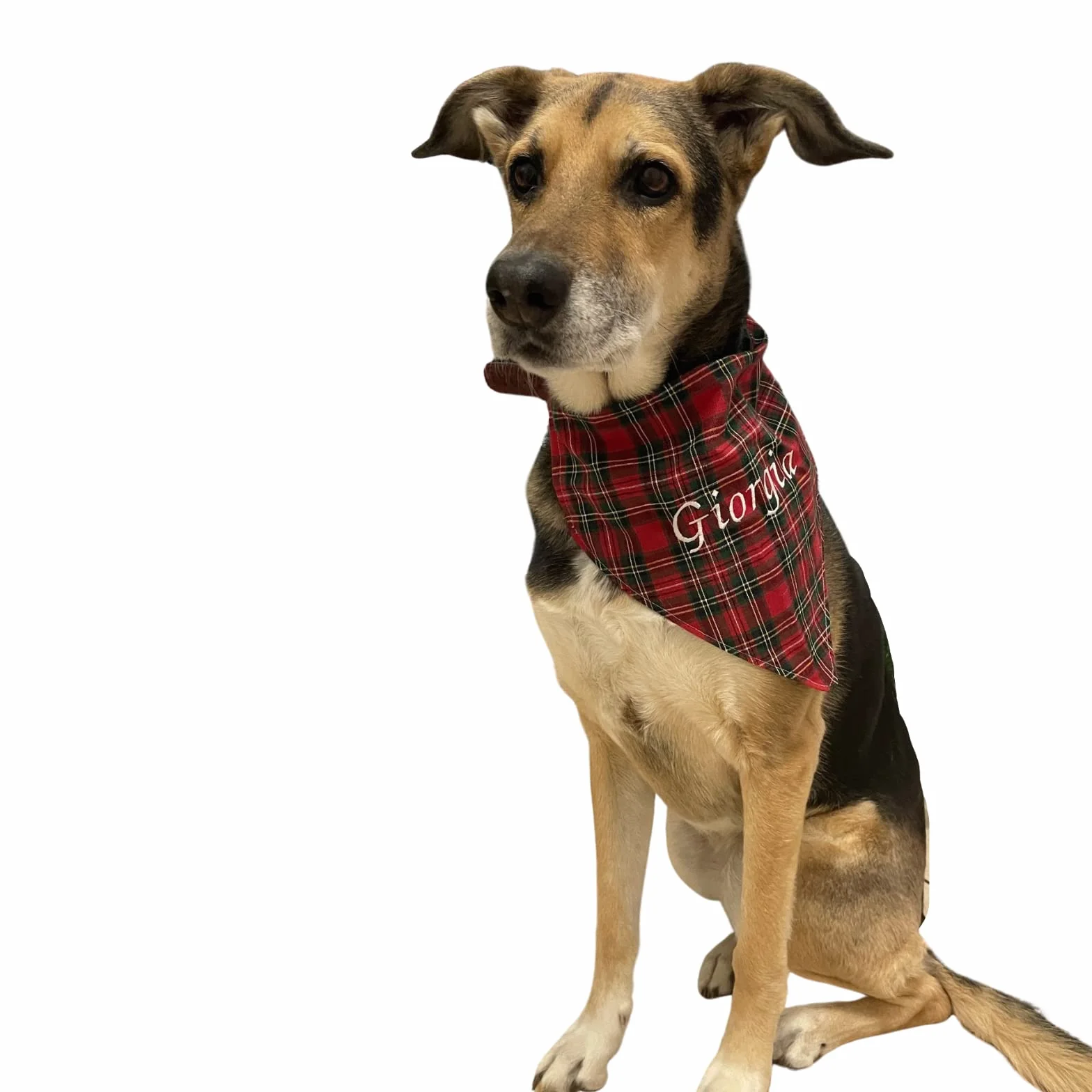 Personalizzata Bandana per cani Amici a quattro zampe Accessori