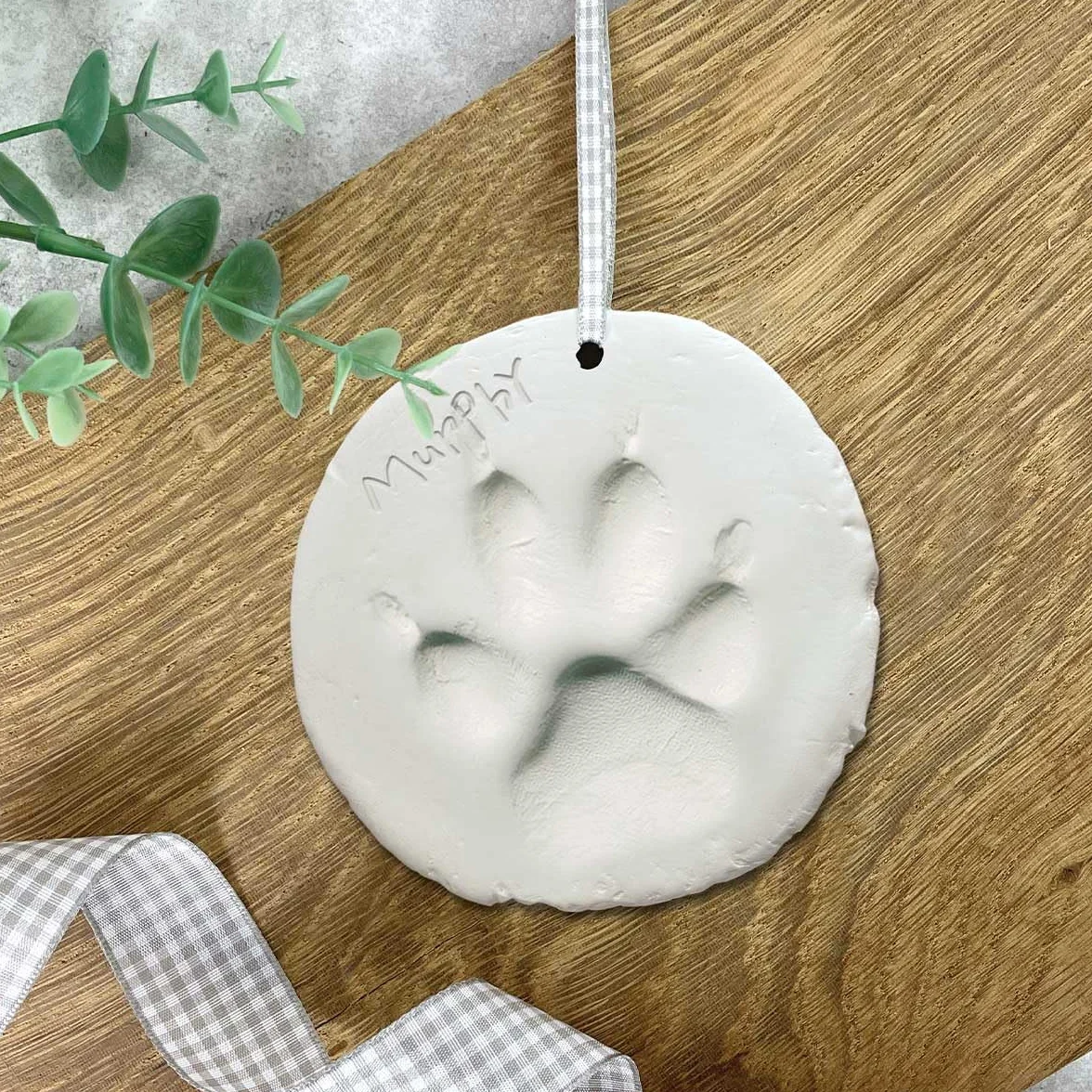 Kit per impronte di zampe di animali domestici in argilla, ricordo per cani e gatti, facile da usare, impronte commemorative, cuccioli e gattini, argilla essiccante all'aria