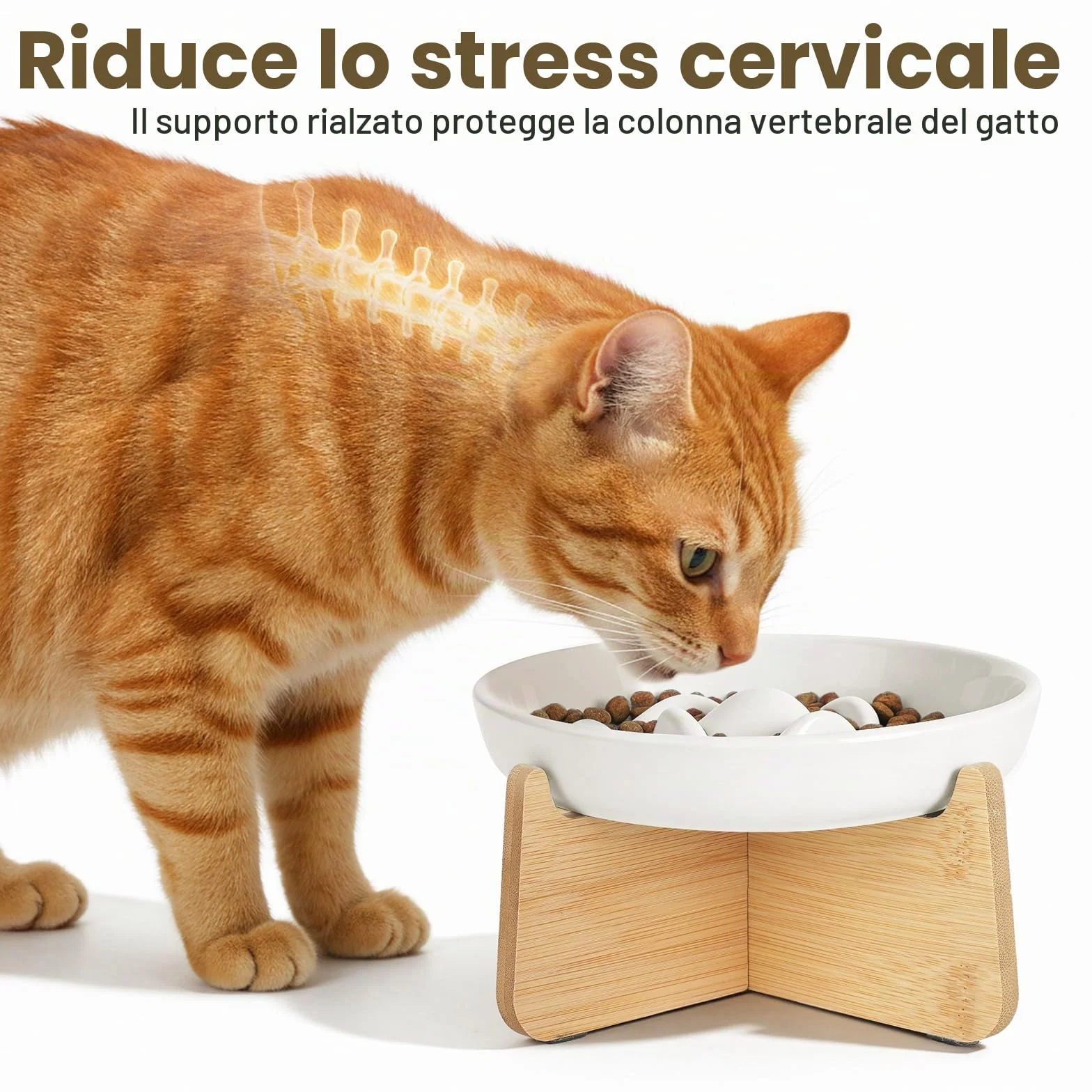 PETTOM Ciotola Anti Ingozzamento Gatto Rialzata, Ceramica Ciotola Gatto Anti Ingozzamento, Ciotole Alimentazione Lenta Gatti Cane Con Bordi Accentuati