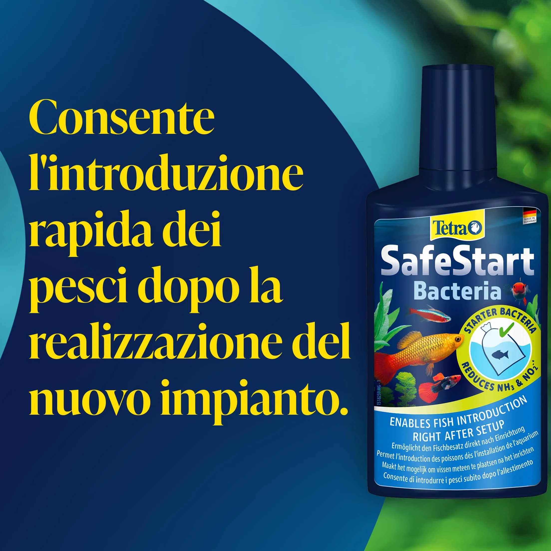 Tetra SafeStart Attivatore per Acquari, Consente di Introdurre i Pesci Immediatamente dopo L'allestimento dell'Acquario, 100 ml