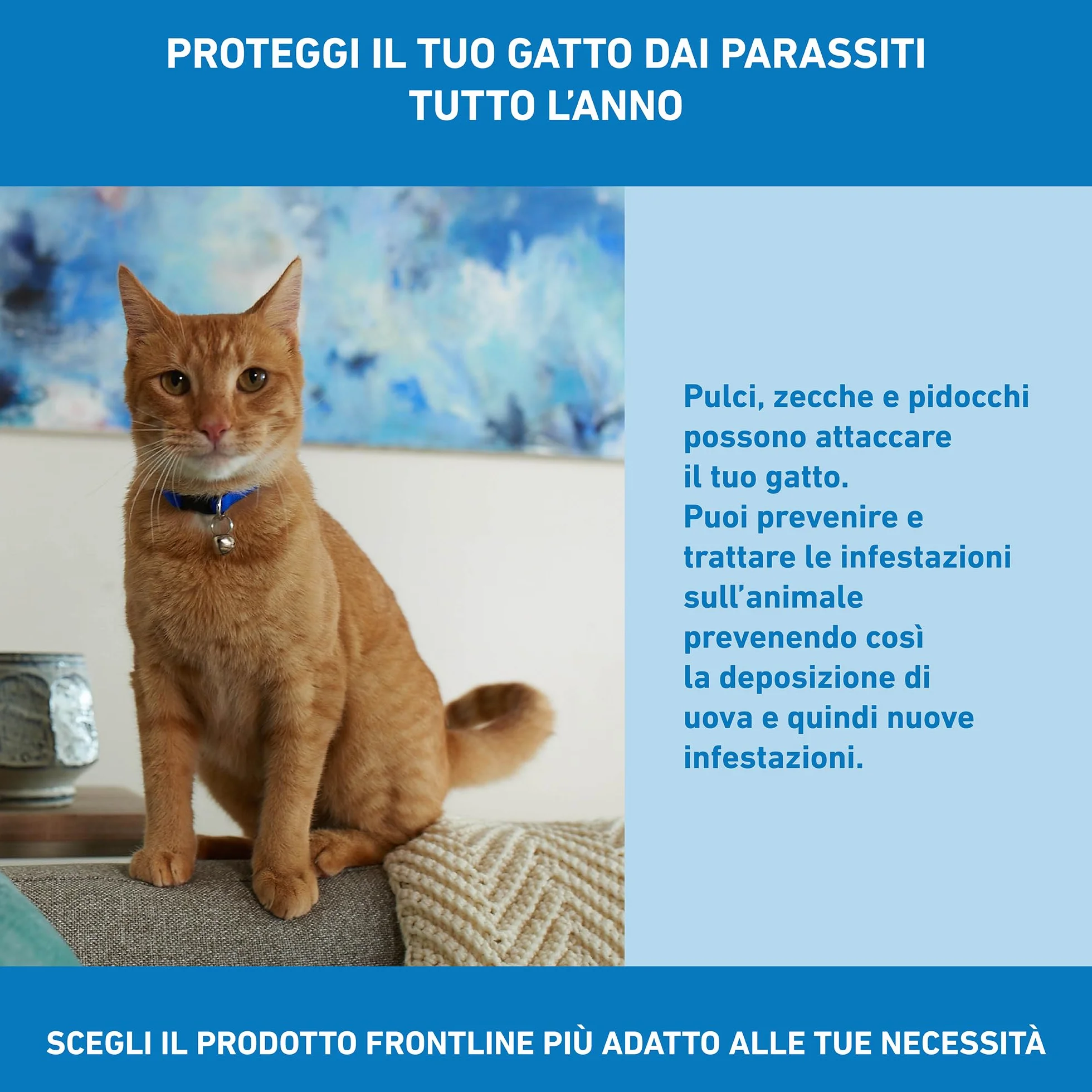 FRONTLINE Spot On 3 Pipette Antiparassitario per Gatti Lunga Durata Protegge da Zecche Pulci Pidocchi 0.5 ml
