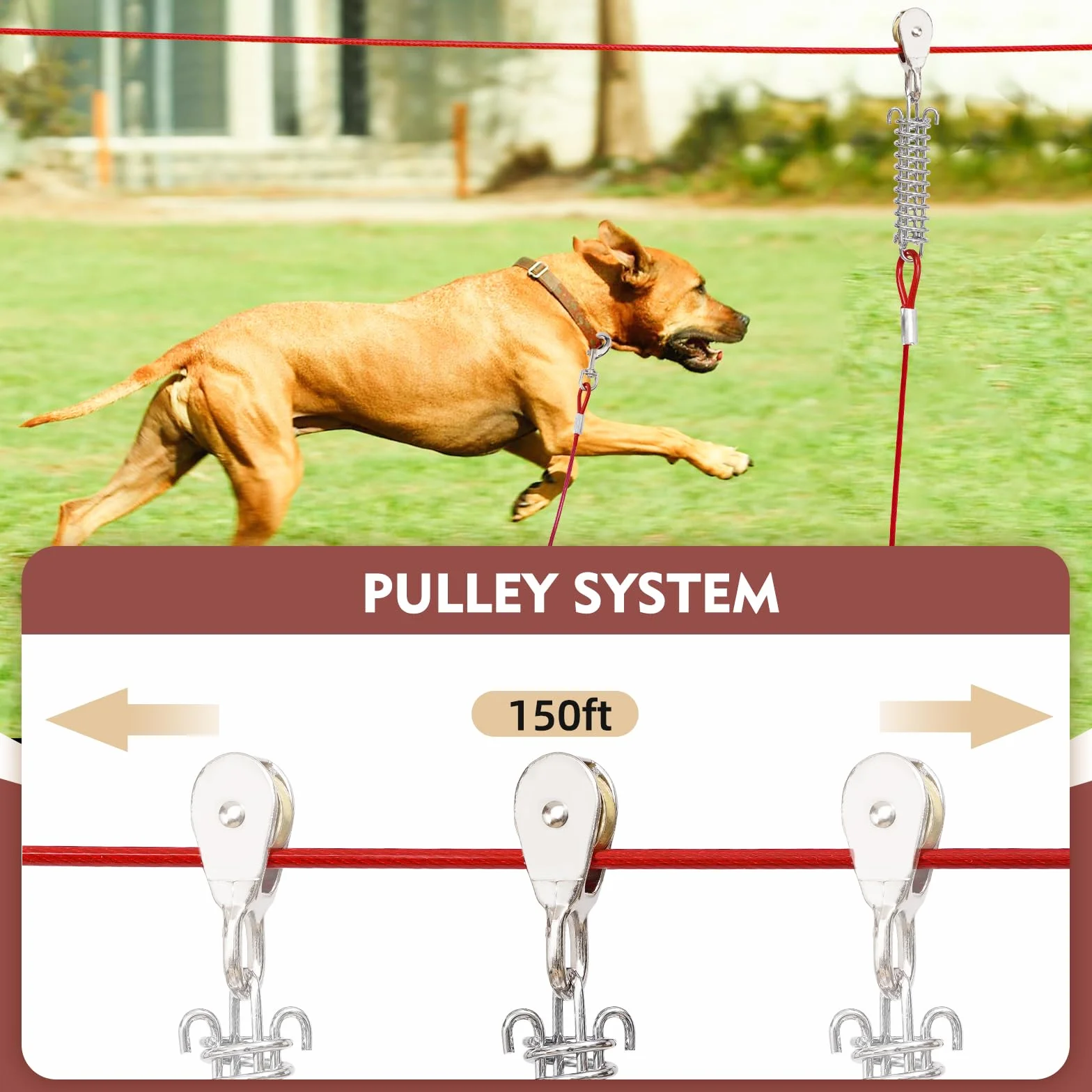 LUWFELL - Passatoia per cani da cortile con guinzaglio lungo 45 m e assorbimento degli urti - Puleggia per cani con cavo di legatura