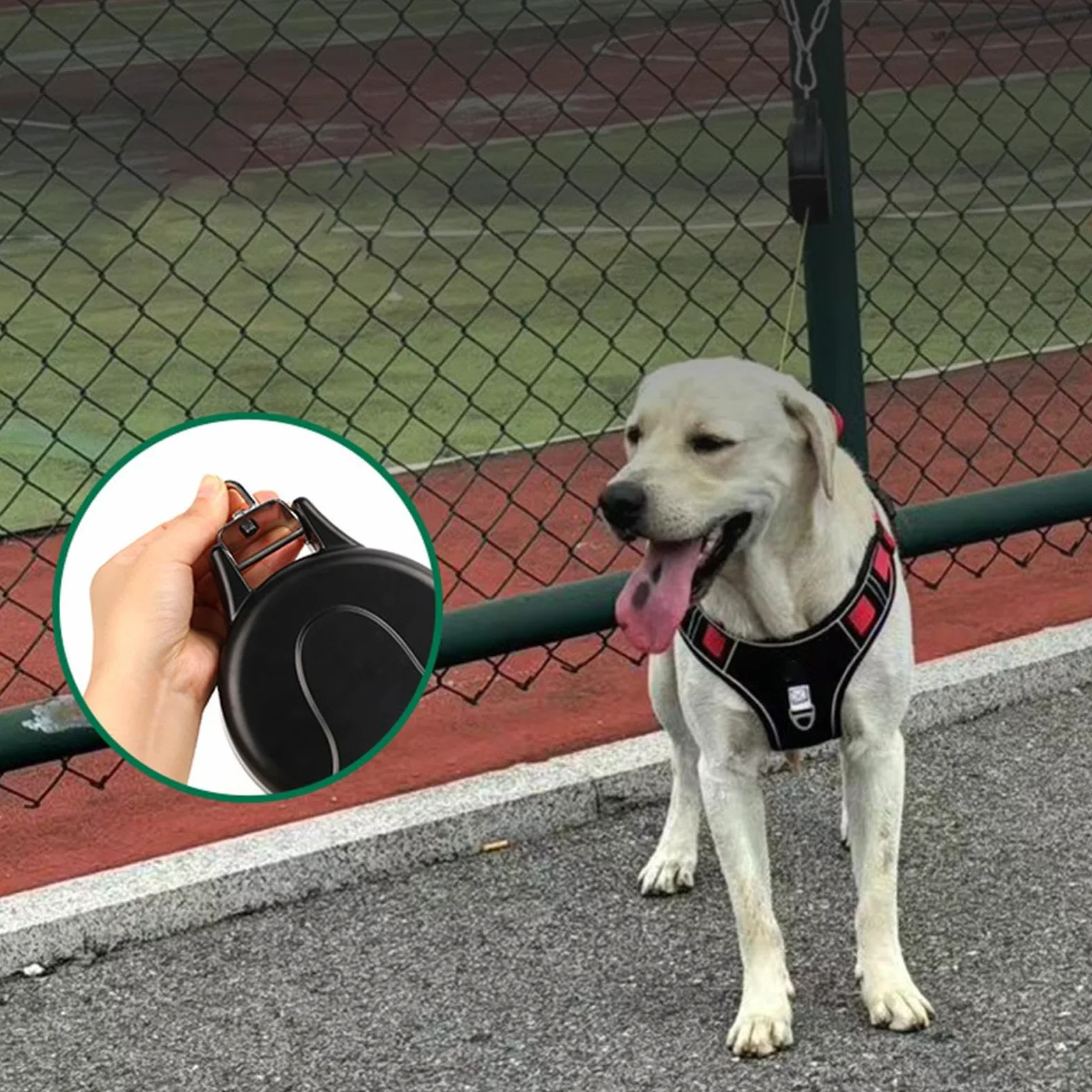 Guinzaglio A Corda Per Cani Strumento Lungo Di Facile Conservazione | Corda Estraibile per Cani da Parete Adatto A Animali Piccoli E Grandi Per Corsa Escursionismo Campeggio Spiaggia Cortile E