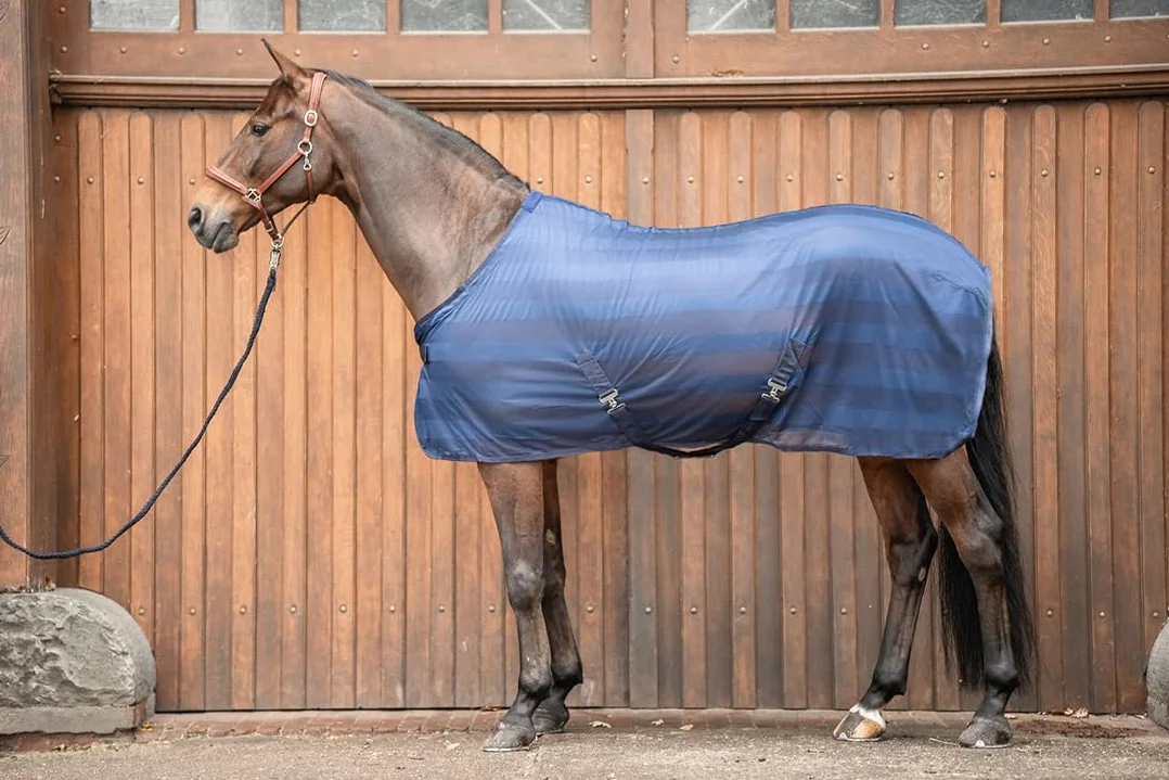 Equinate Coperta anti-insetti Guardian con imbottitura per il garrese e cinghie incrociate 125 cm Navy - Coperta per equini con protezione efficace contro mosche e insetti - Coperta per cavalli