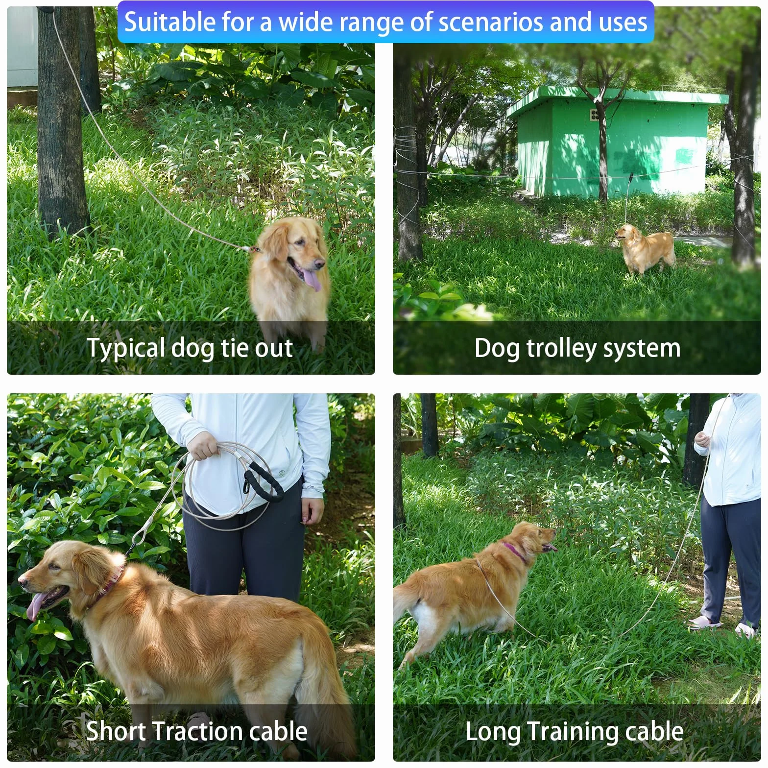 Sistema di Cavi per Cani 3in1, 50/100ft in Metallo Con Gancio Girevole a 360°, Guinzaglio da Corsa per Addestramento in Campeggio 250lbf/15m+3m/Argento