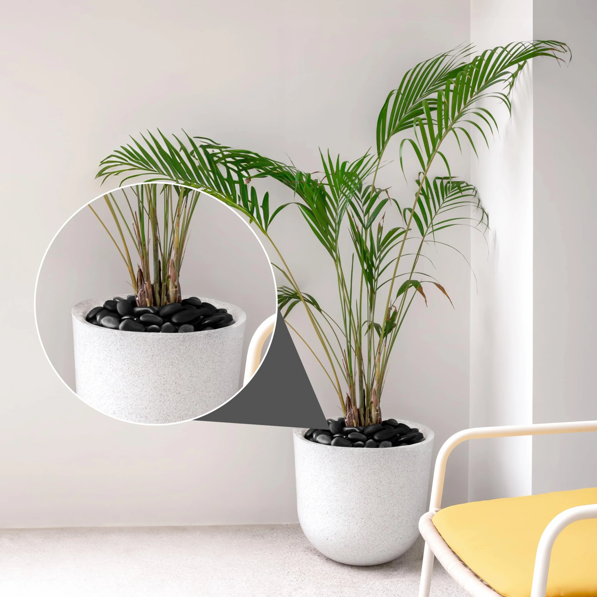 Pietre Decorative Nere 1,35 kg - Sassi Decorativi per Vasi, Acquari, Paesaggi, Terrari, Piante Grasse 2,5-3 cm - Pietre Naturali di Fiume Levigate