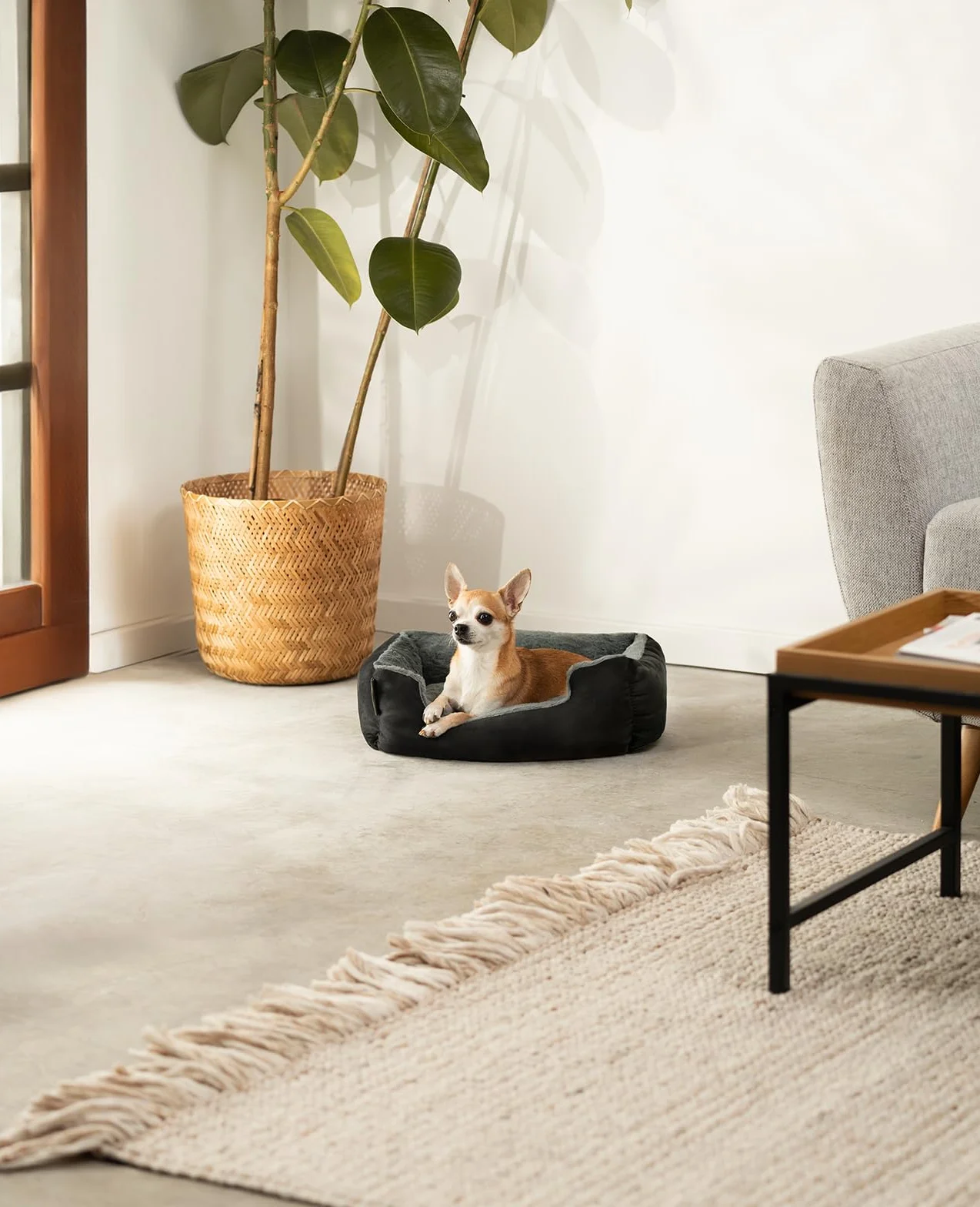 Cuccia per cani lionto 50x37 cm con cuscino reversibile antiscivolo, ingresso basso, nero/grigio