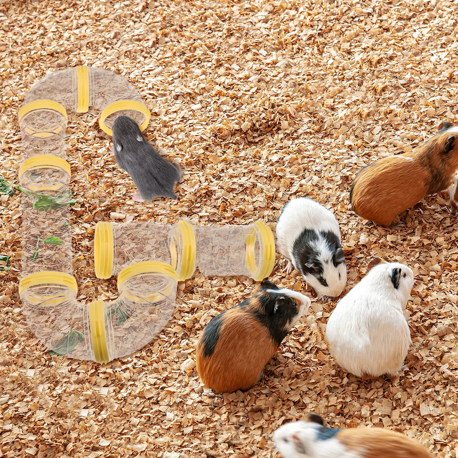 2 Set Tunnel Gioco per Criceti Trasparente Tubo Plastica Resistente per Furetto Topi e Piccoli Animali Kit Espandibile per Gabbie Facilmente Pulibile e Visibile