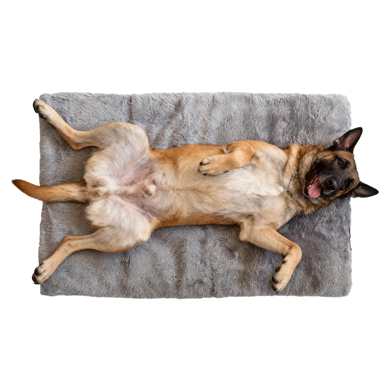 Caldo lettino per cani – Tappetino antiscivolo per animali domestici, morbido e calmante | per cani per casa, dormitorio, appartamento, camera da, soggiorno, cuccioli e gatti per la