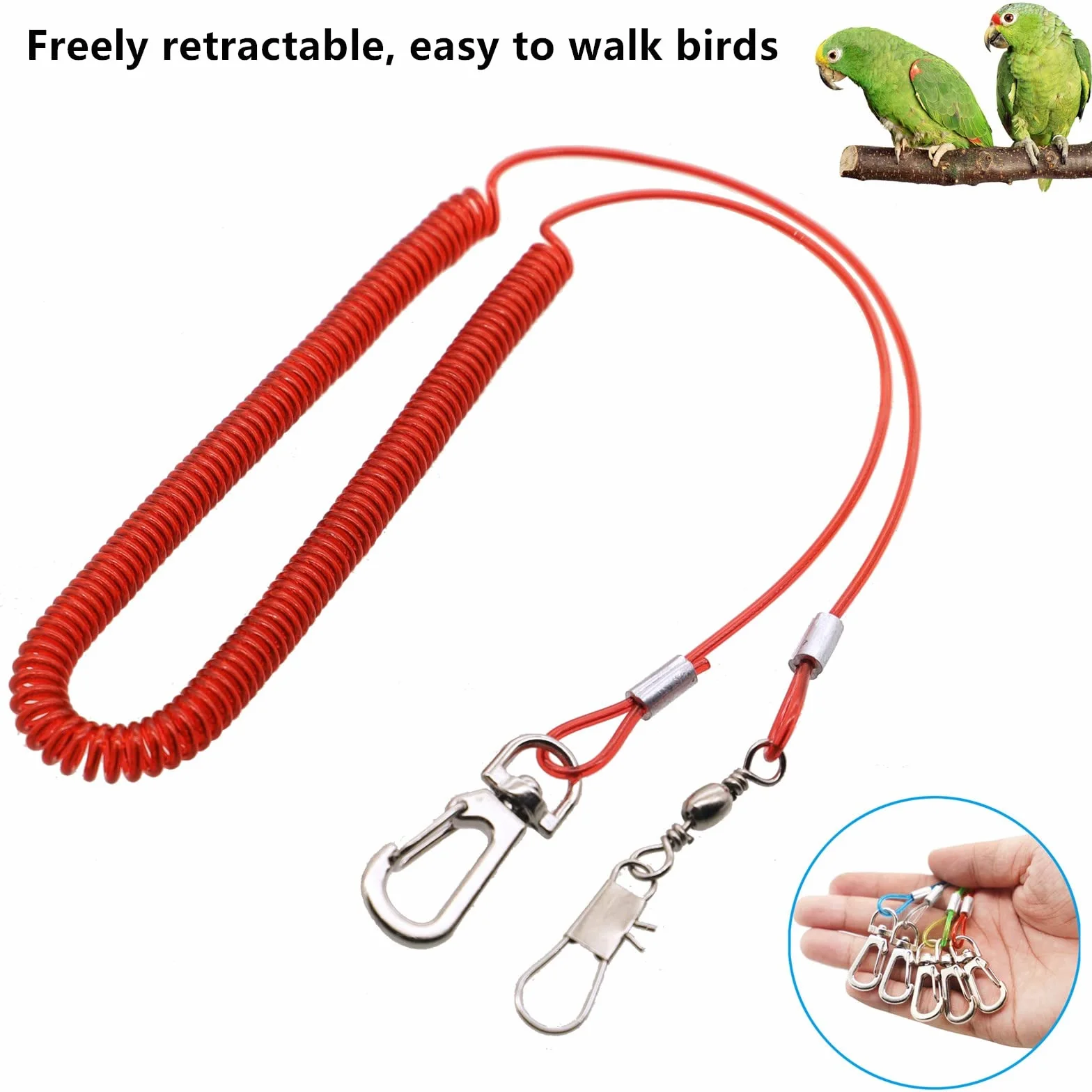 Corda Volante per Pappagallo,Guinzaglio per Uccelli,Catena da 5 m per Piede di Pappagallo,Corda Per Addestramento Al Volo per Uccelli,(2 Pezzi) (verde e rosso)