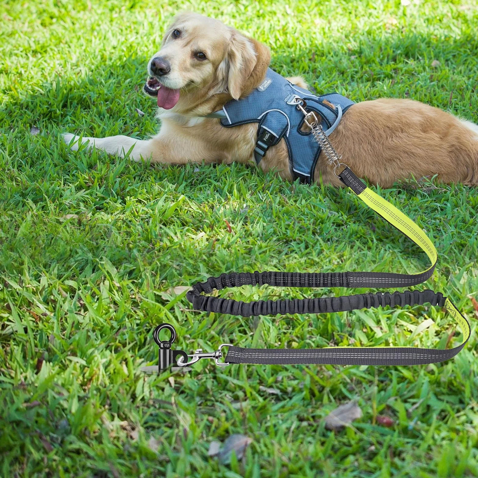 Palo per cani 38 cm, resistente fino a 99,8 kg, nessun groviglio, facile da installare, ideale per cortile, campeggio e spiaggia, confezione da 1 (nero)