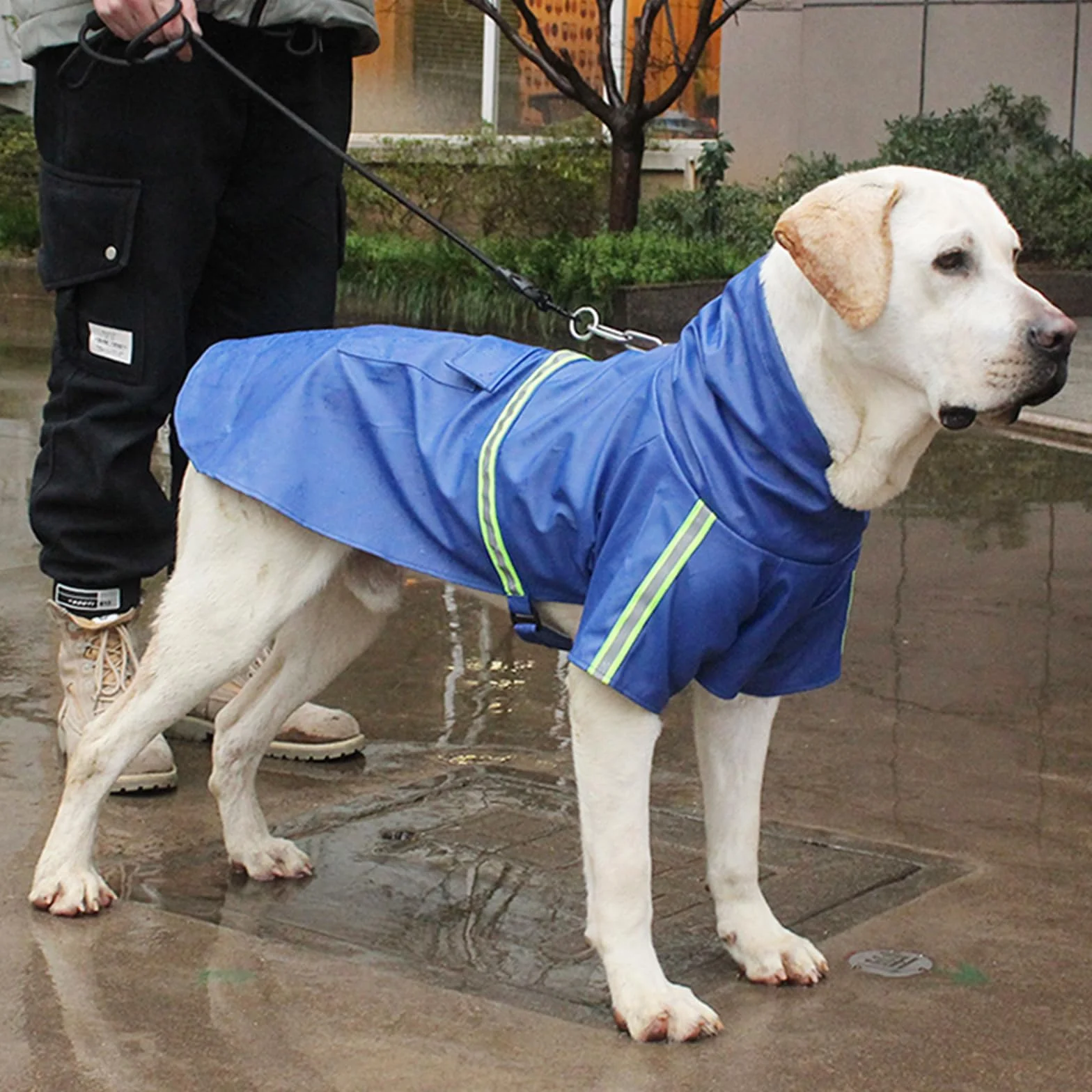 Impermeabile per Cani Riflettente Cappotto Cane Impermeabile con Cappuccio Giacca per la Pioggia Cane di Taglia Piccola per Escursionismo