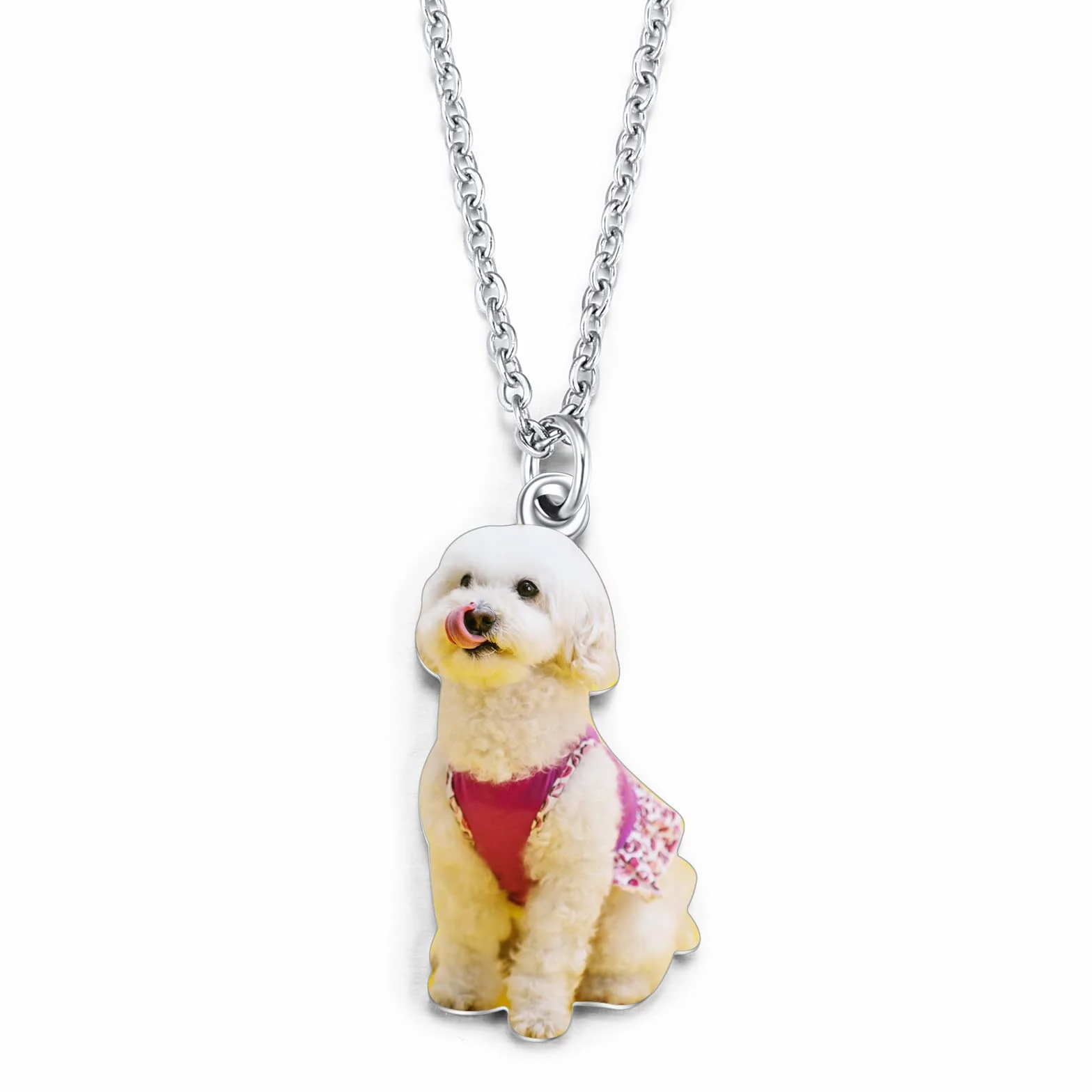 INBLUE Collana Personalizzata con Foto per Cani e Gatti Ciondolo a Forma di Cuore Regalo Commemorativo