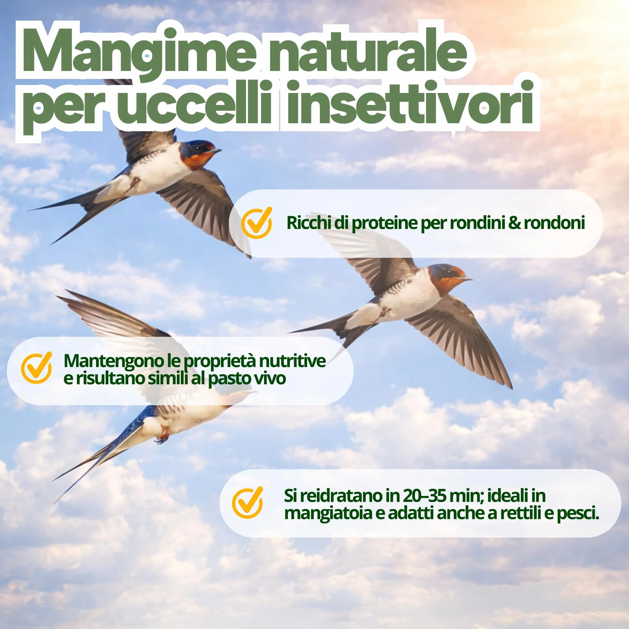 Grilli Liofilizzati 500ml Mangime Uccelli Selvatici Rondini Rondoni Balestrucci Insettivori
