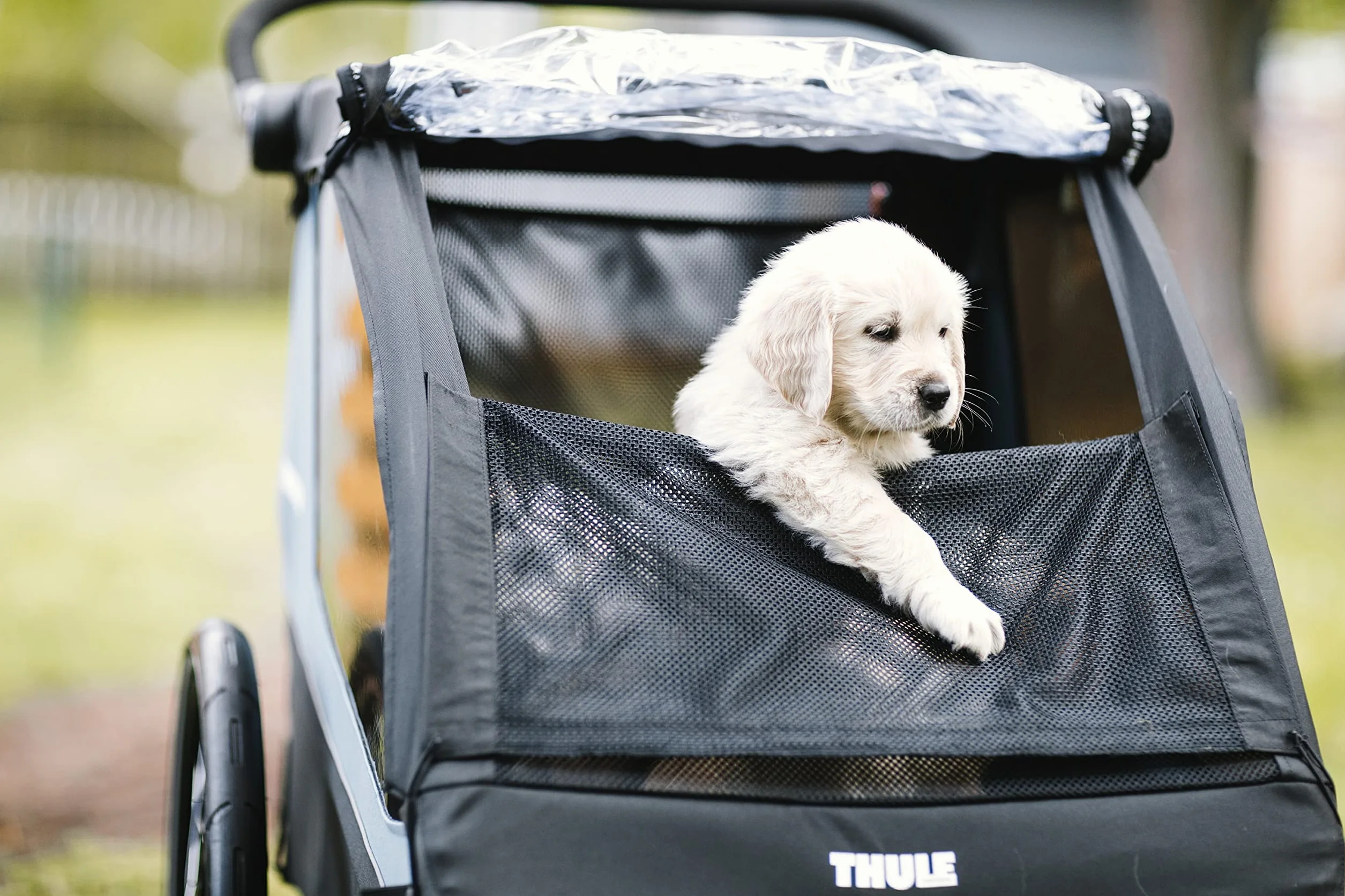 Thule Courier Dog Trailer Kit Rimorchio Cane Black, One-Size
