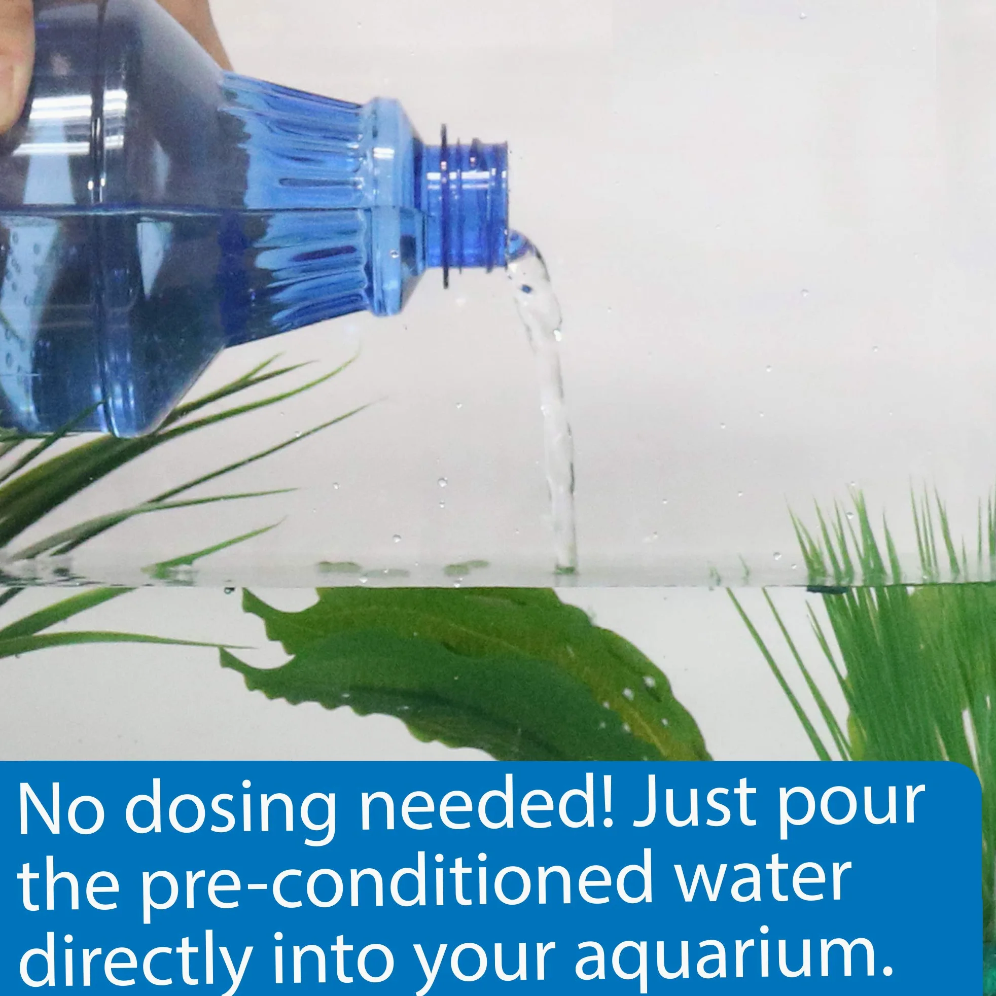 API Betta Water, 64 once