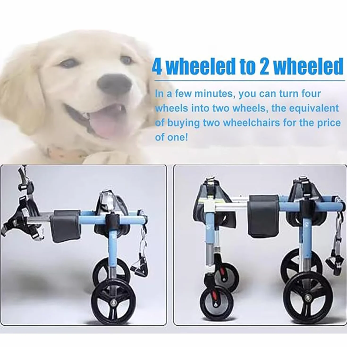 Sedia A Rotelle per Cani con Supporto Completo E 4 Ruote,Aiuta I Piccoli Arti Posteriori Paralizzati Recuperare La Mobilità,per Cani,Cuccioli,Gatti Disabili(XL,Blue)