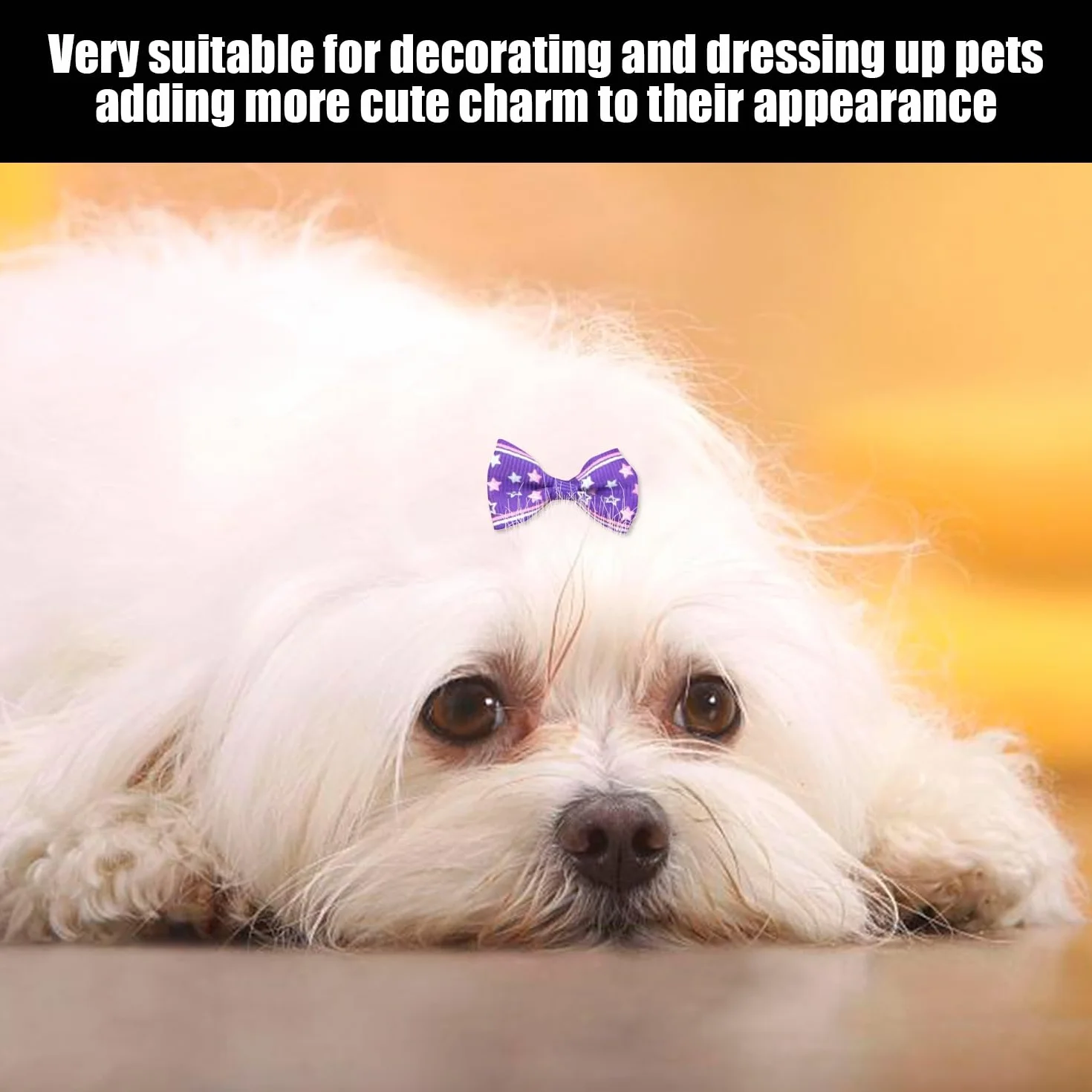 100 corde per capelli con fiocco, 1 borsa portaoggetti, accessori per capelli di animali, elastici creativi per cani, elastici per animali domestici, accessori per copricapo per gatti