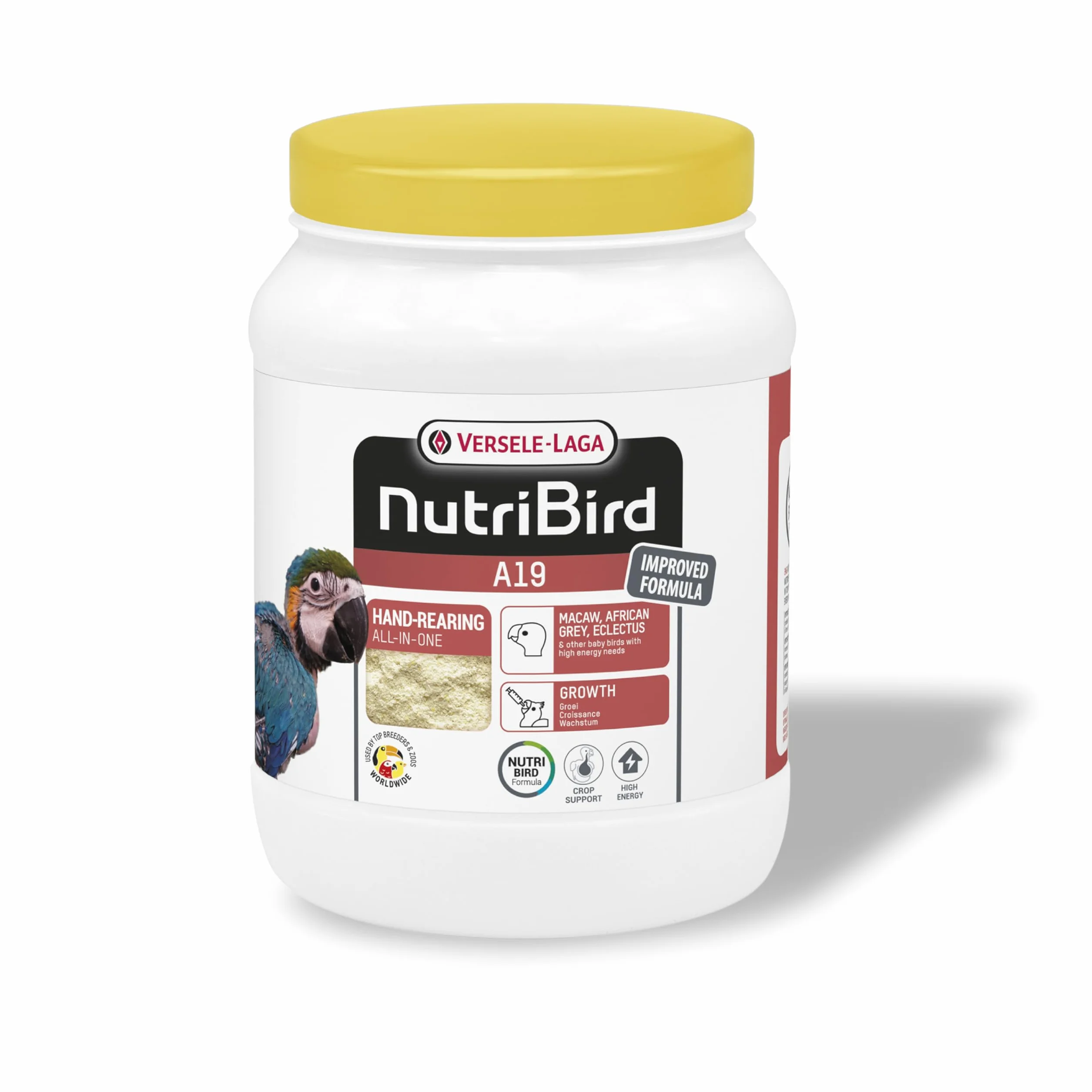 VERSELE-LAGA - NutriBird A19 - Pappa da imbecco alla Mano per Piccoli di Pappagallo - Ara, cenerini ed ecletto - Energia - 800g