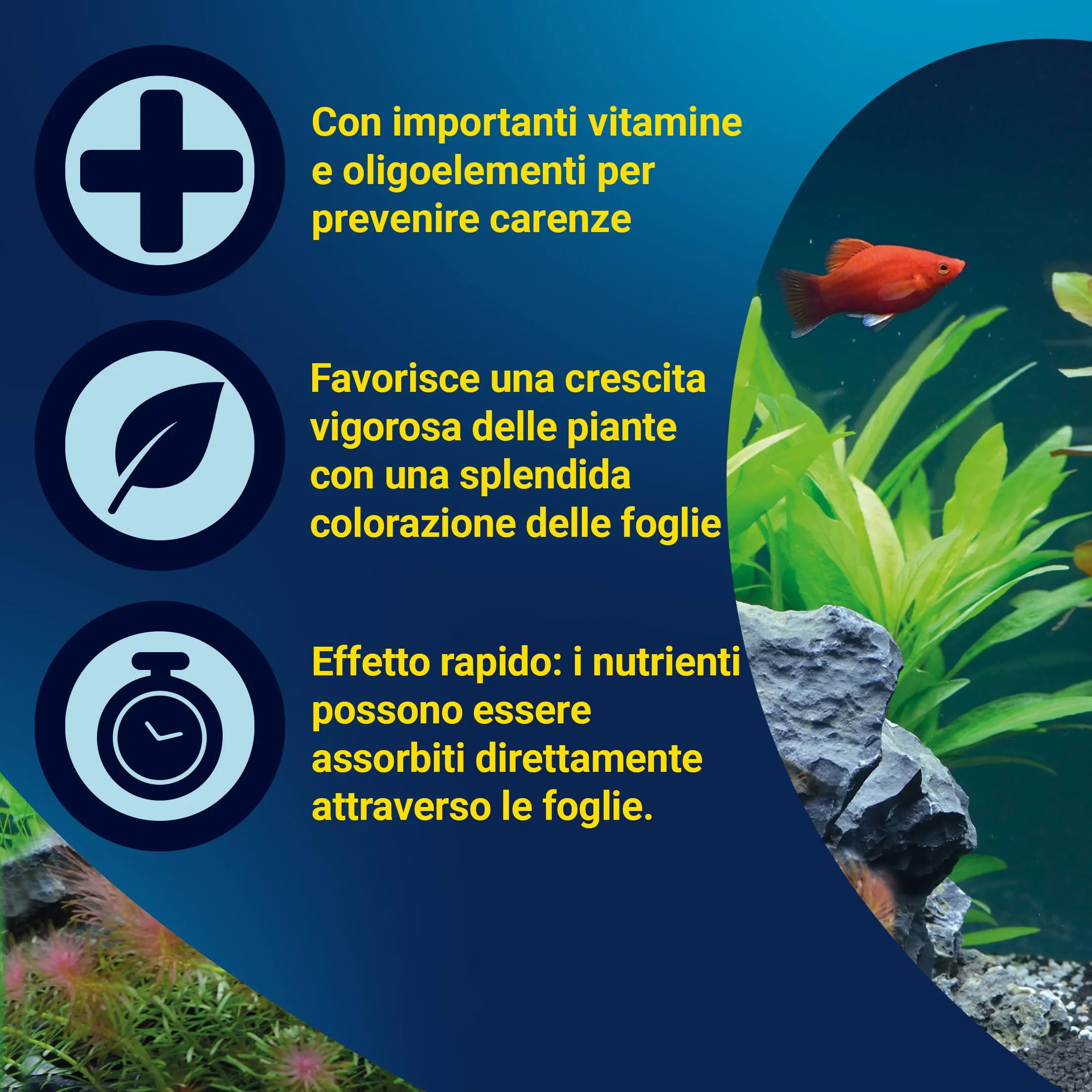 Tetra CO2 Plus - Fertilizzante liquido a base di carbonio per piante d'acquario rigogliose, flacone da 250 ml