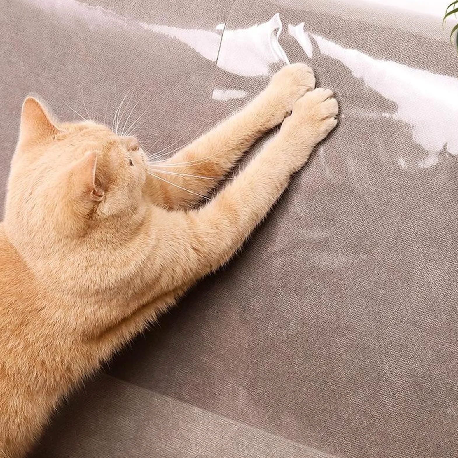 Pellicola protettiva antigraffio per mobili per più superfici, fogli adesivi trasparenti per gatti, artigli, prevenzione dei danni, protezione dai graffi degli animali domestici