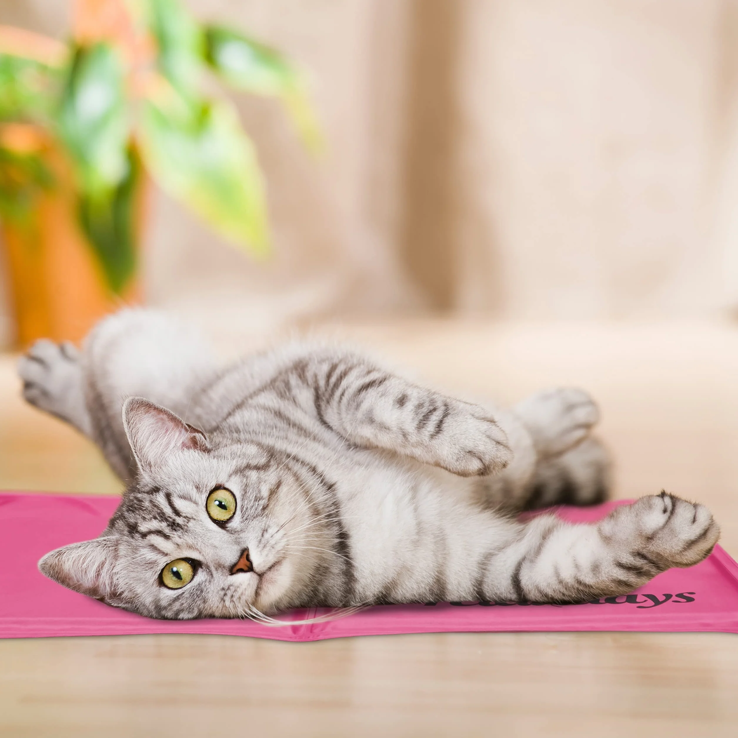 Relaxdays Tappetino Refrigerante per Cani 20 x 35 cm Rosa Gel Rinfrescante