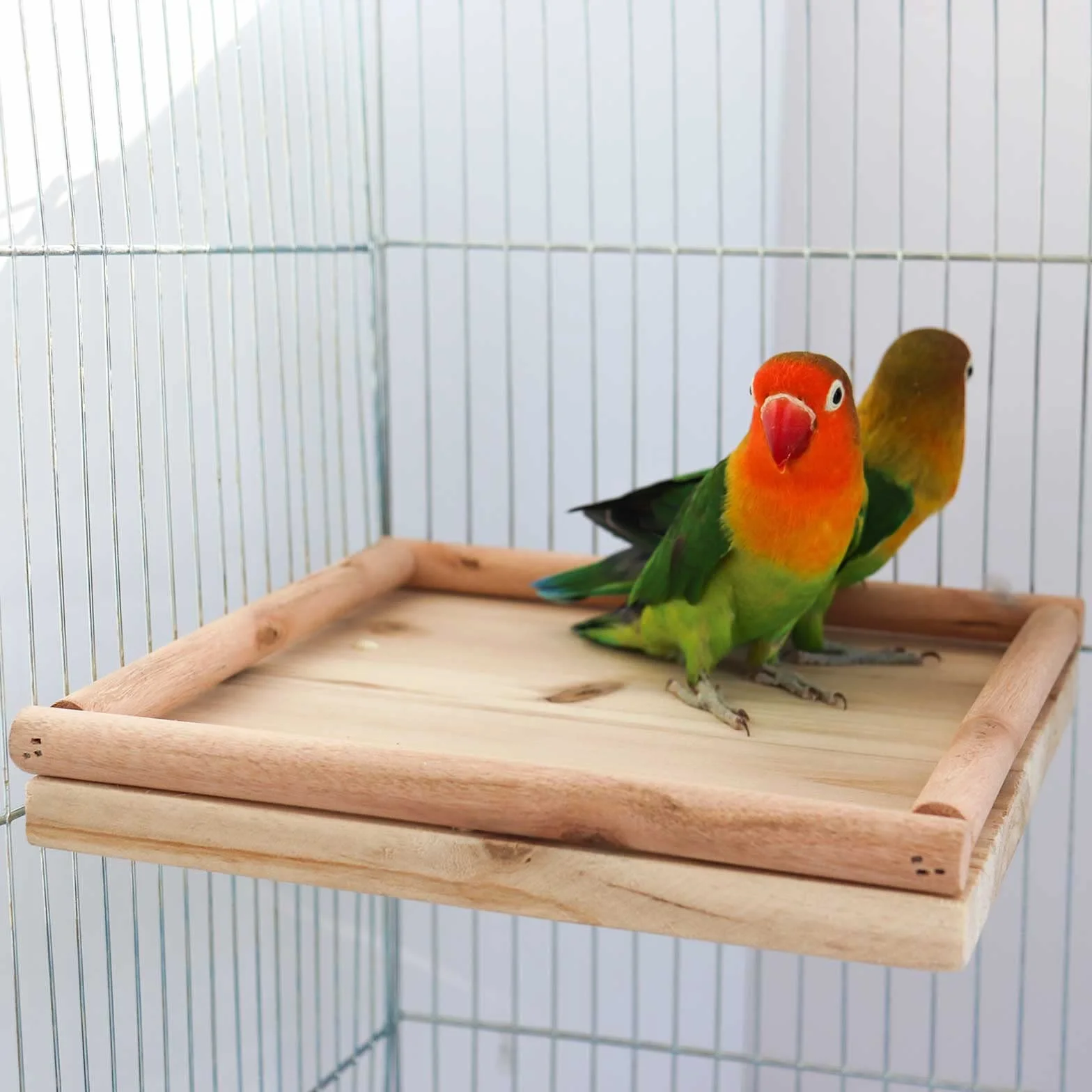 Piattaforma Appollaiatoio per Uccelli in Legno Naturale 20x20 cm per Gabbie Pappagalli Pappagallini Inseparabili