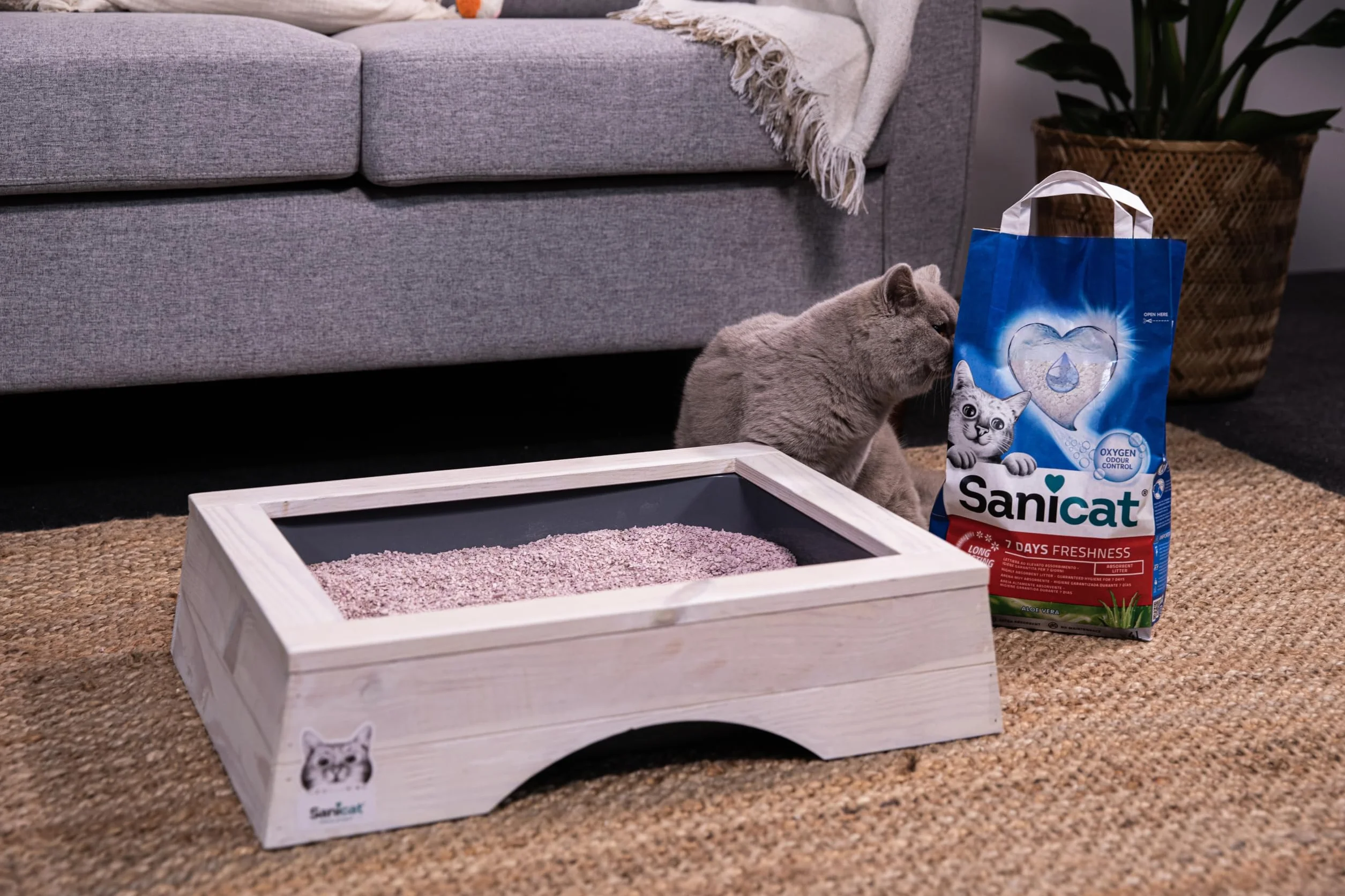 Sanicat Lettiera per gatti Classic con Aloe Vera 4 L Controlla odori 7 giorni Assorbimento rapido