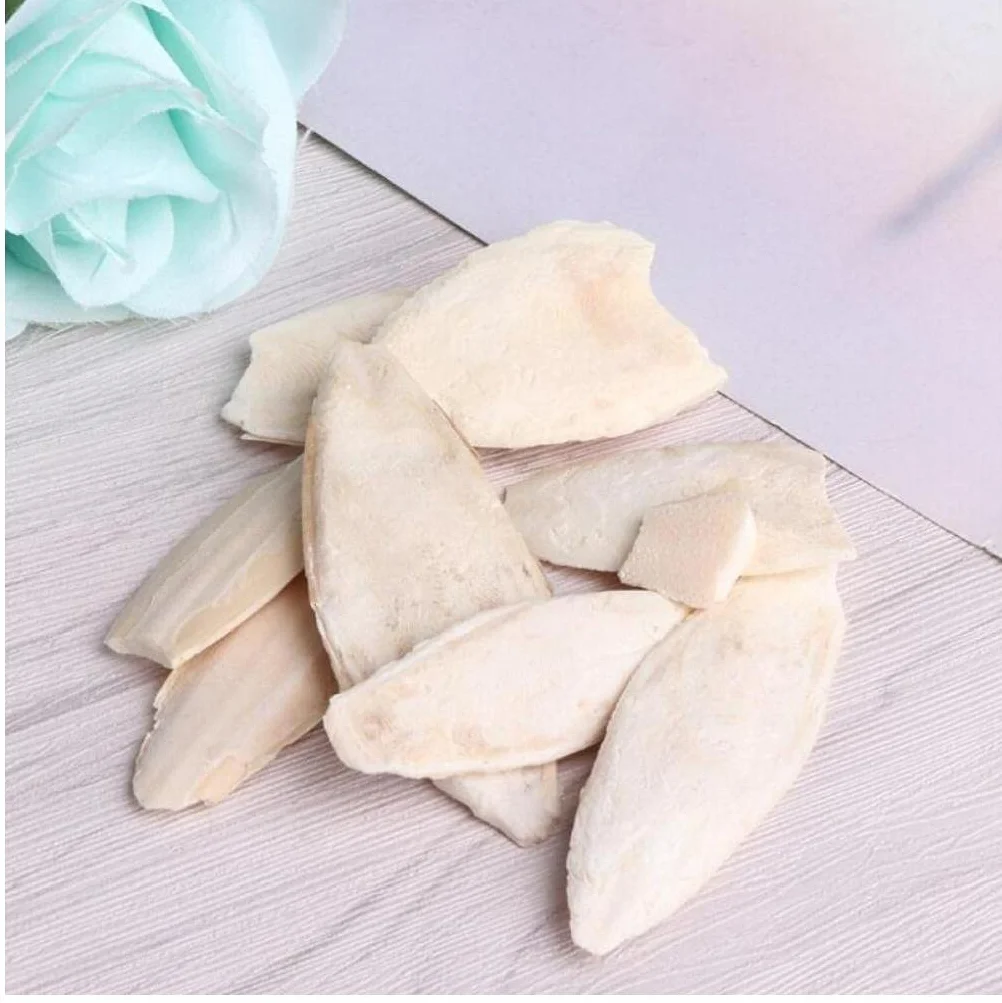 Cuttlebone Toy for Parrot Bird Desalting Cuttlefish Sepia Bone Chew Molar
