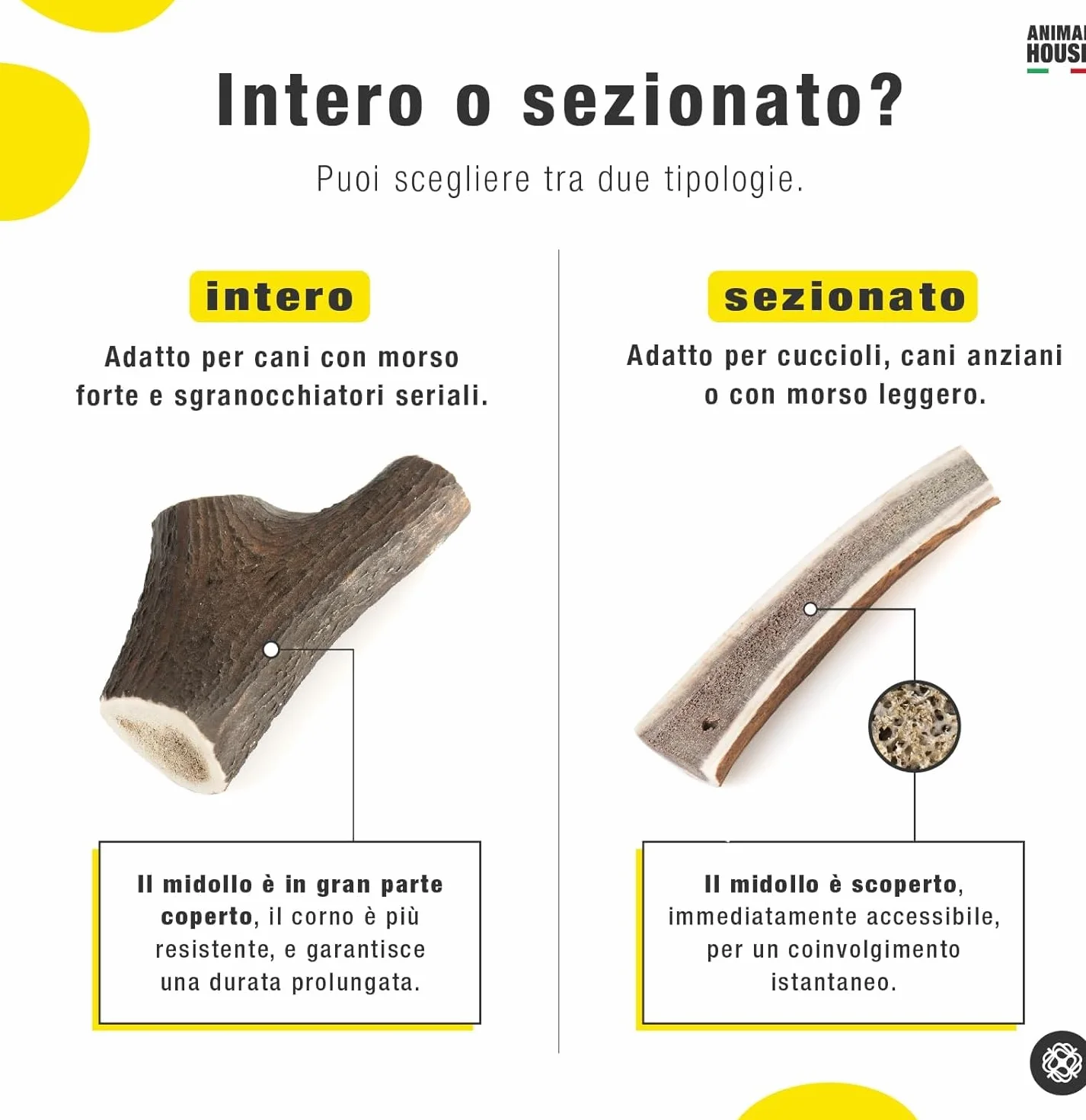 Corna di Cervo Premium per Cani Sezionate 100% Naturali Resistenti XS