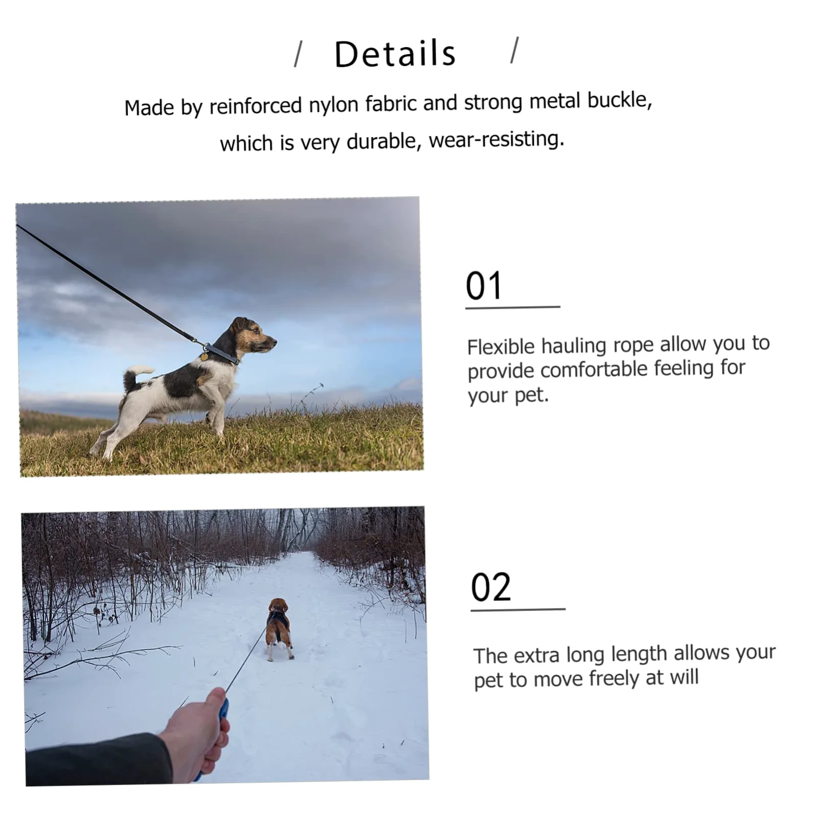 Collare e Guinzaglio Cane Perle Finte Bianco in Pelle PU 2 Pezzi | Regolabile e Staccabile, per Cuccioli e Cani Piccoli, per Addestramento, Feste, Matrimoni e Foto, Bianco
