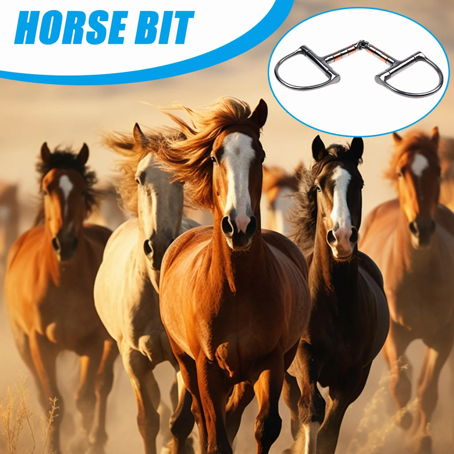 Morso per cavallo con anello a D | Morso per cavallo con bocca a rullo in rame - Morso per cavallo a snodo singolo, filetto con anello a D per forniture equestri