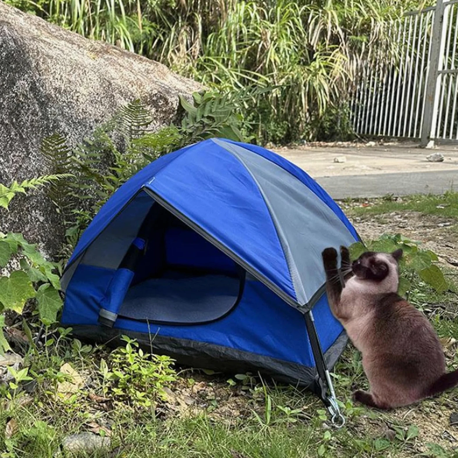 Generico Tenda per gatti, Tenda per gatti da per all'aperto per | Tenda per gatti da esterno, tenda portatile per gatti, cani, piccoli animali, cuccioli