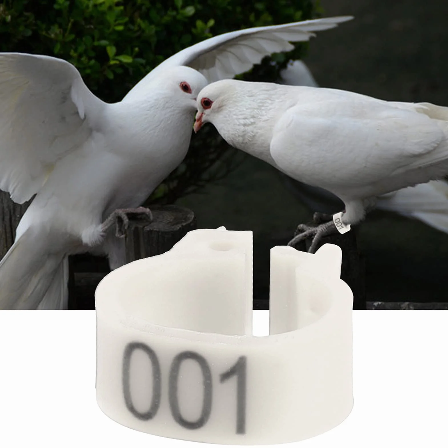 Cyrank 100 Pz/Borsa Anelli di Piccione, 8mm Anelli per Zampe di Uccello in Plastica 001-100 Anelli di Fasce per Gambe di Uccello di Piccione di Lettera di Plastica Numerata(Bianco)