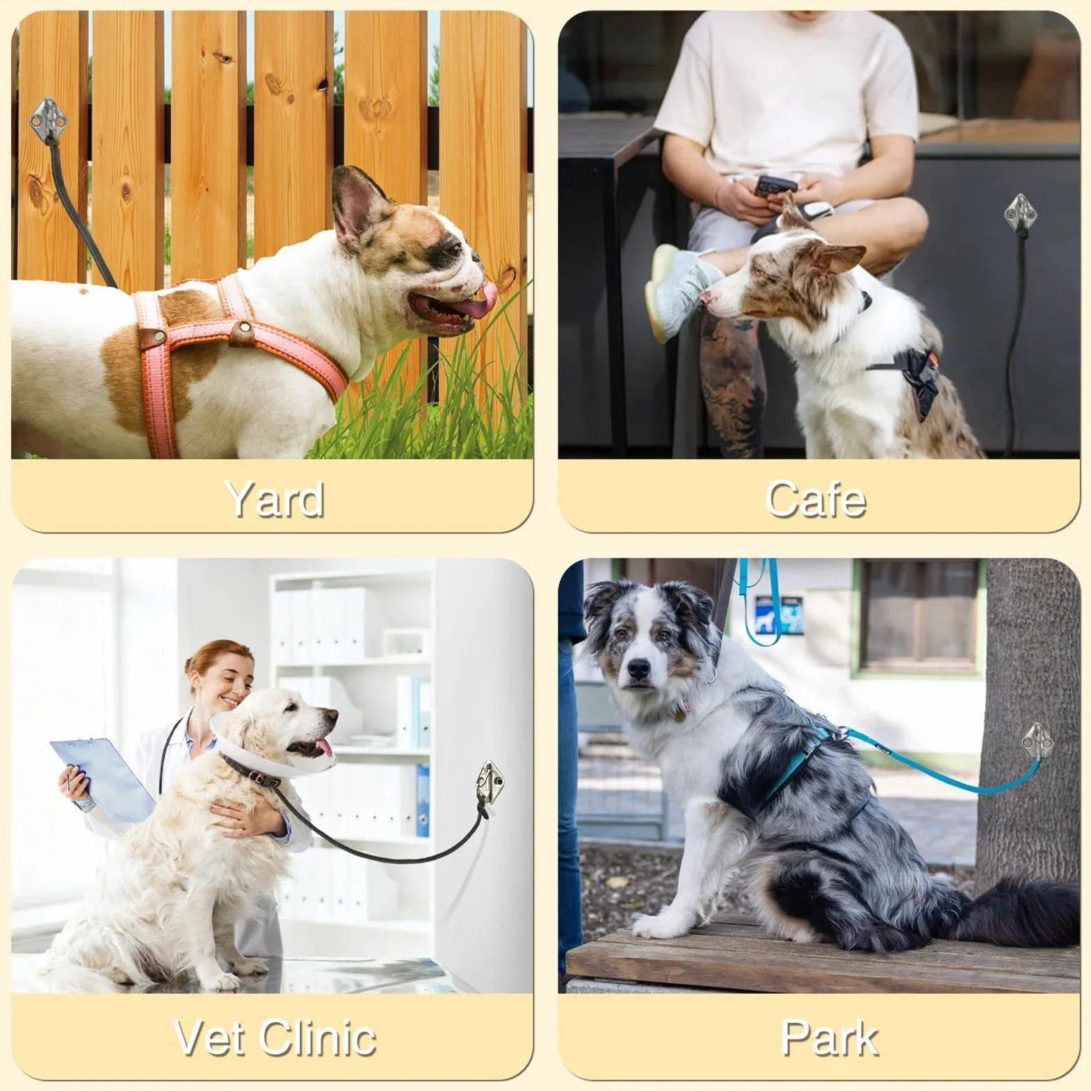 Gancio da Parete per Cane Legato | Acciaio Inossidabile - Supporto per Guinzaglio Fissato | per Proprietari di Animali Inquilini Garage Ingresso Corridoio Appartamento Ufficio Giardino