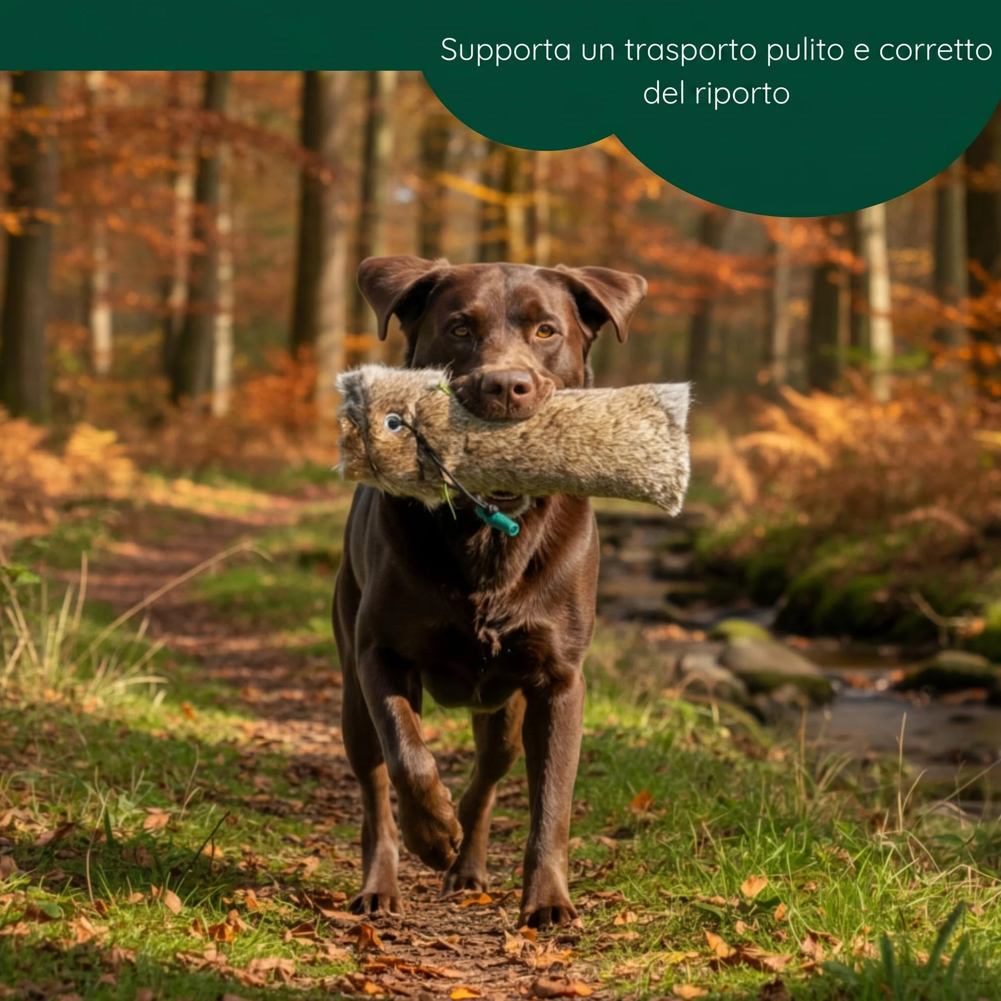 Giocattolo da riporto con pelliccia di coniglio, circa 500 g, per l'allenamento generale di cani e specifico di cani da riporto