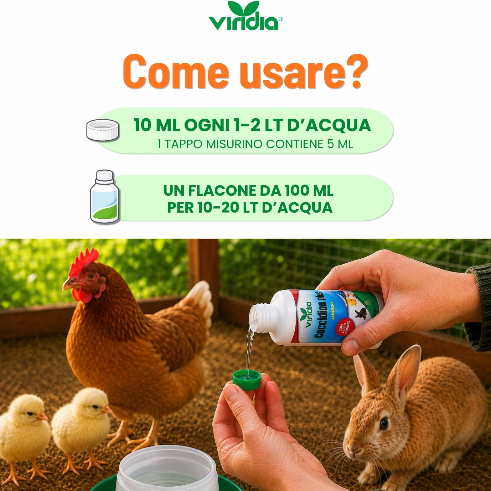 viridia Coccidion Plus Liquido 100 ml – Mangime Complementare per Volatili e Conigli, Supporto Intestinale con Acido Acetico, Equilibrio Intestinale, Facile da Diluire in Acqua da Bere