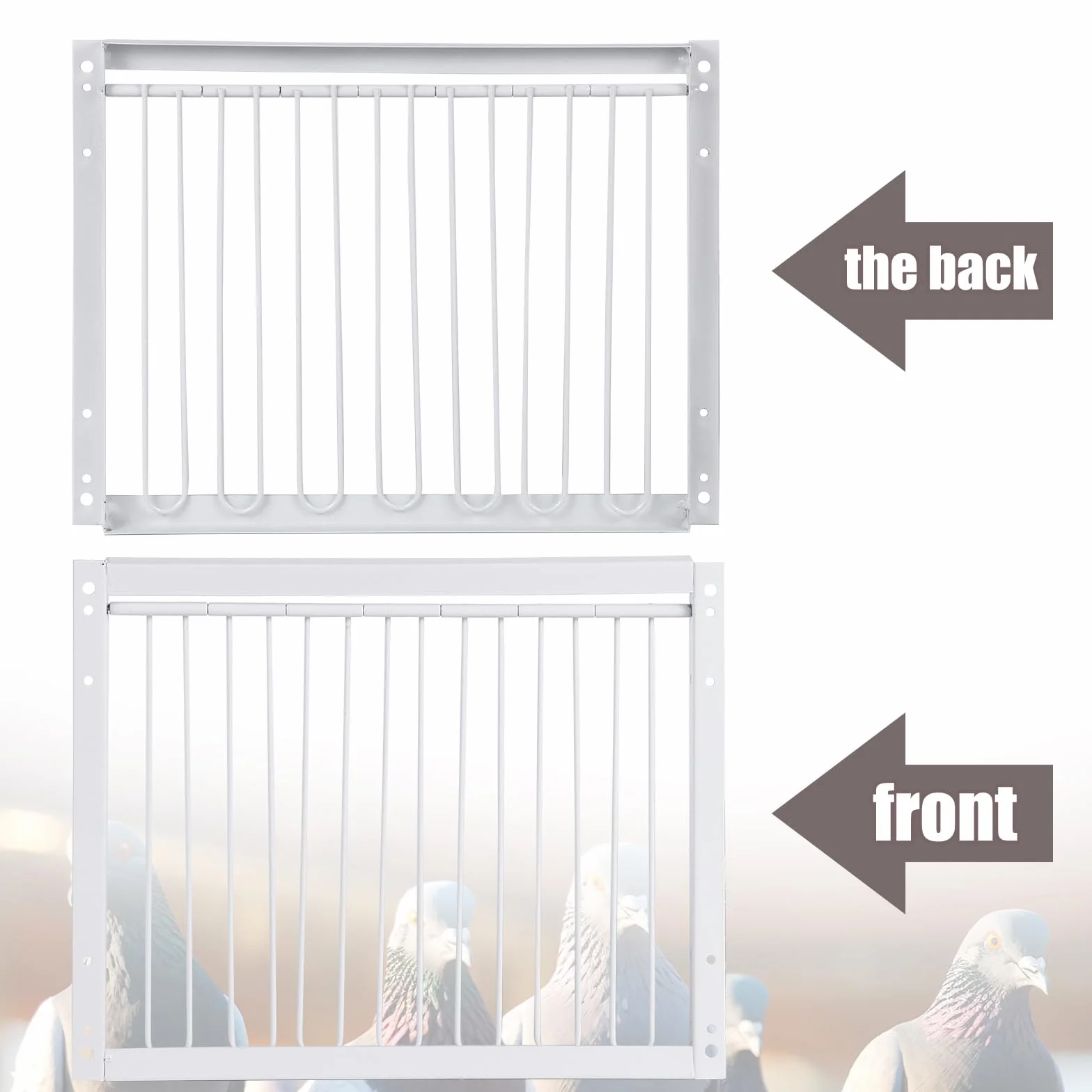 T-Trap - Porta d'ingresso per animali domestici, usa e getta, per piccione da corsa, piccione, porta d'ingresso in ferro, pappagallo, accessorio per l'allevamento di uccelli, 33 x 26 cm