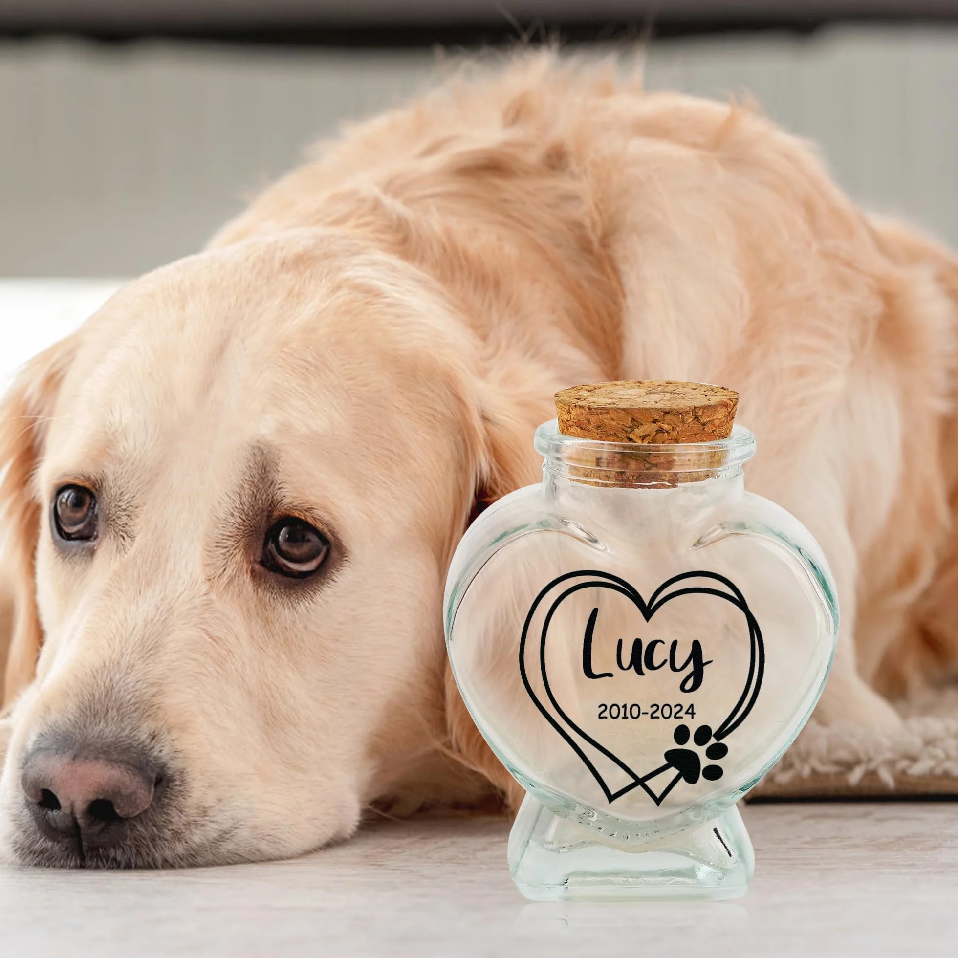 Barattolo commemorativo personalizzato per peli di animali domestici ricordo per cani e gatti